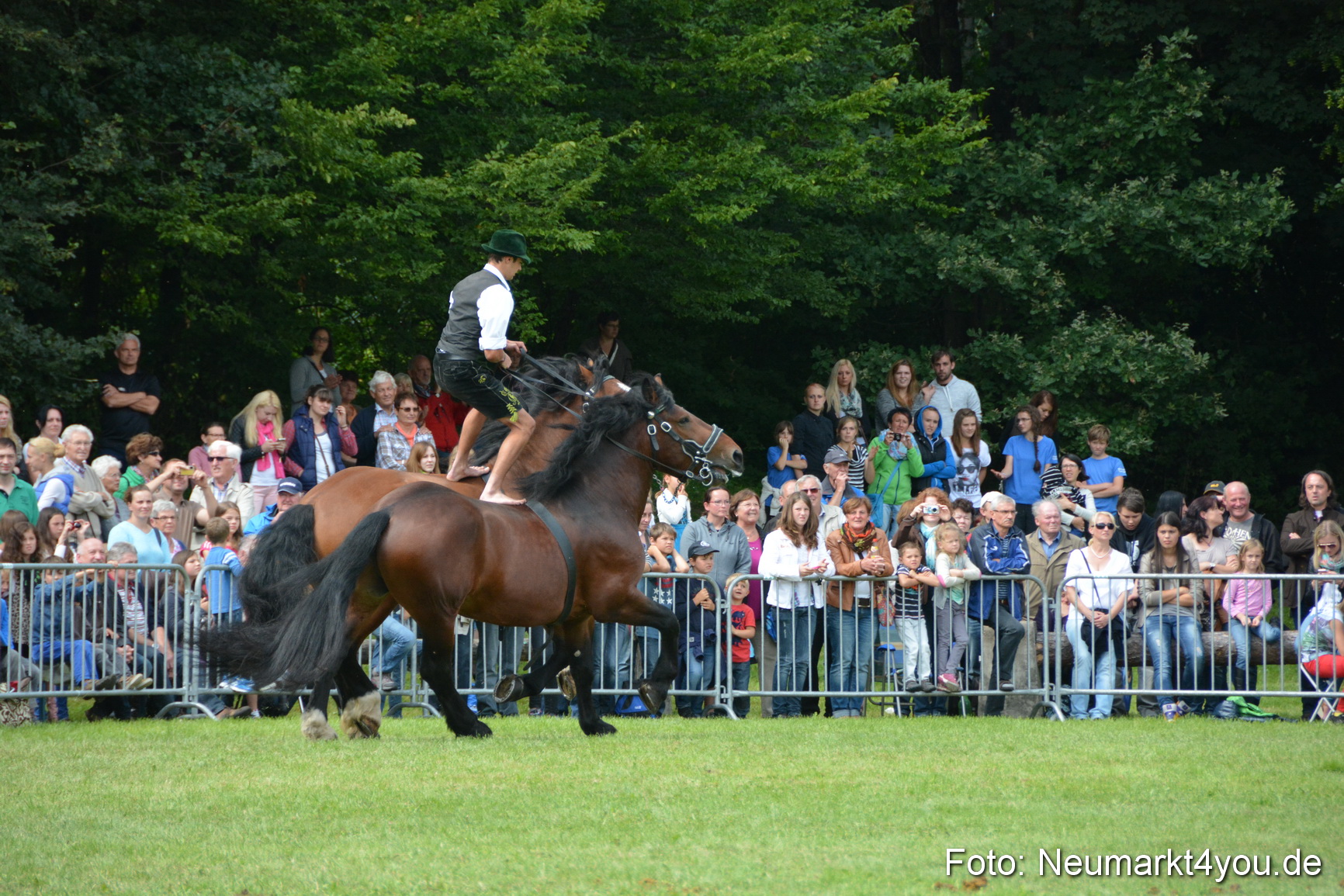 Pferdeschau JURA Volksfest 180814 0484