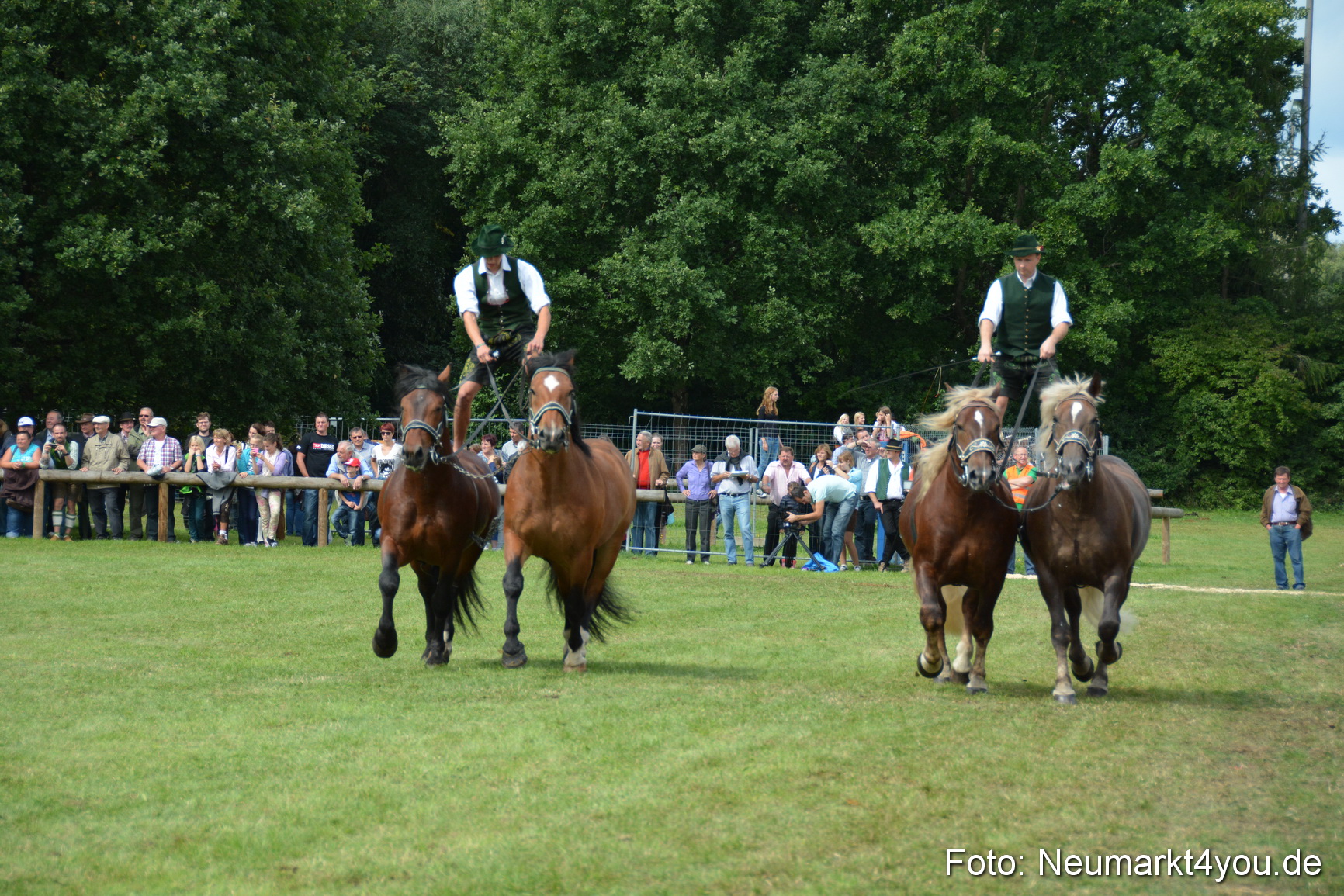 Pferdeschau JURA Volksfest 180814 0486