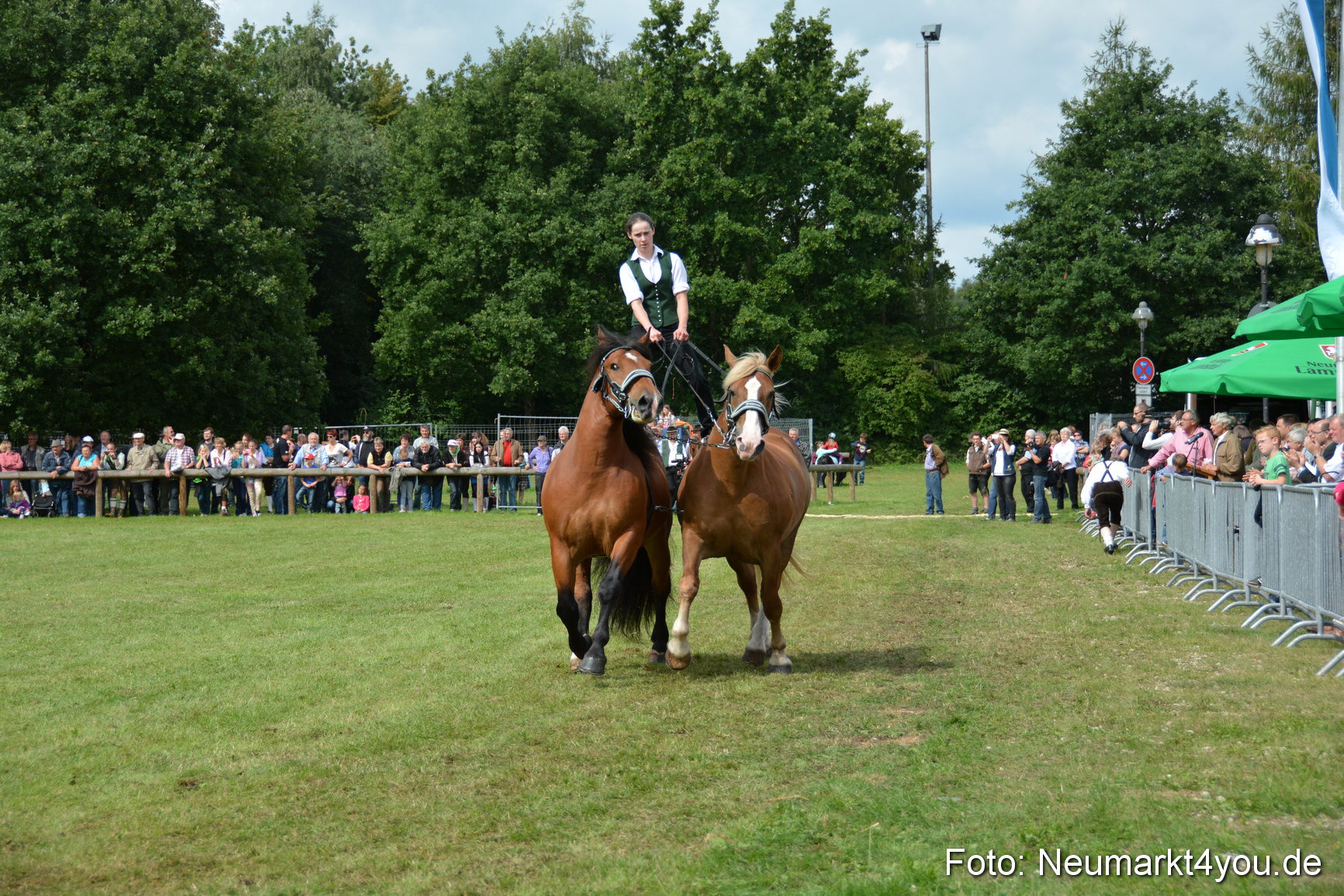 Pferdeschau JURA Volksfest 180814 0487