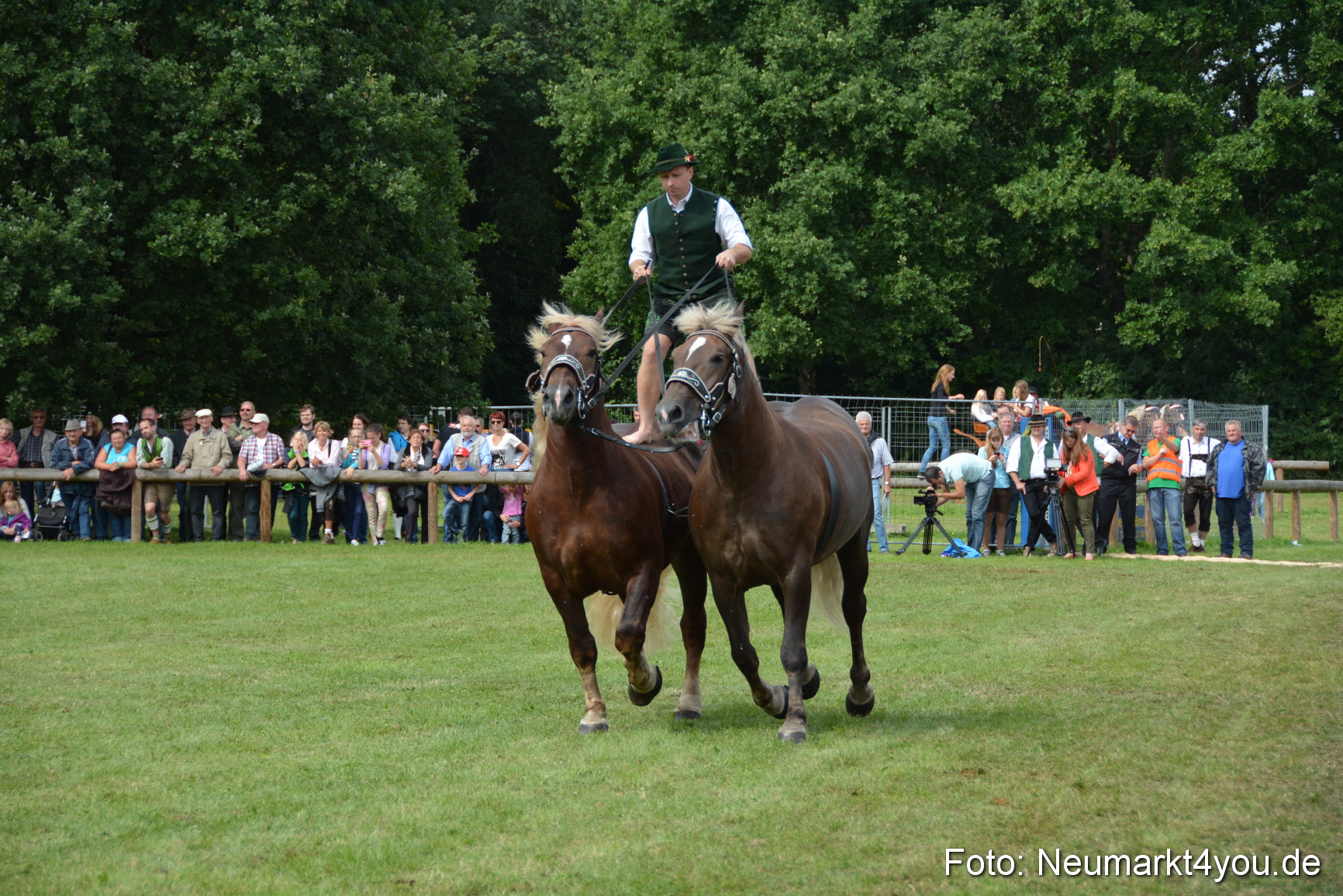 Pferdeschau JURA Volksfest 180814 0488