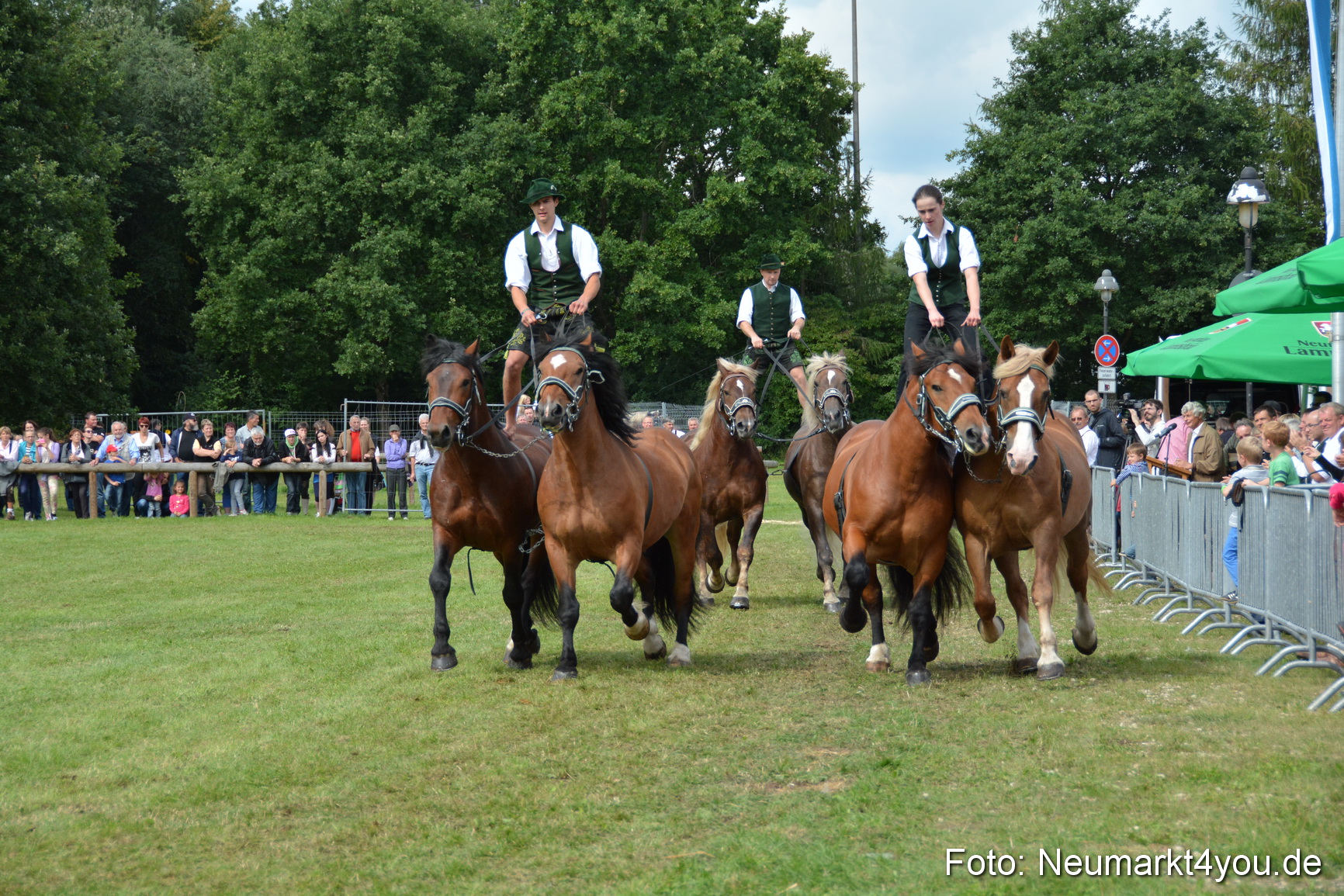 Pferdeschau JURA Volksfest 180814 0489