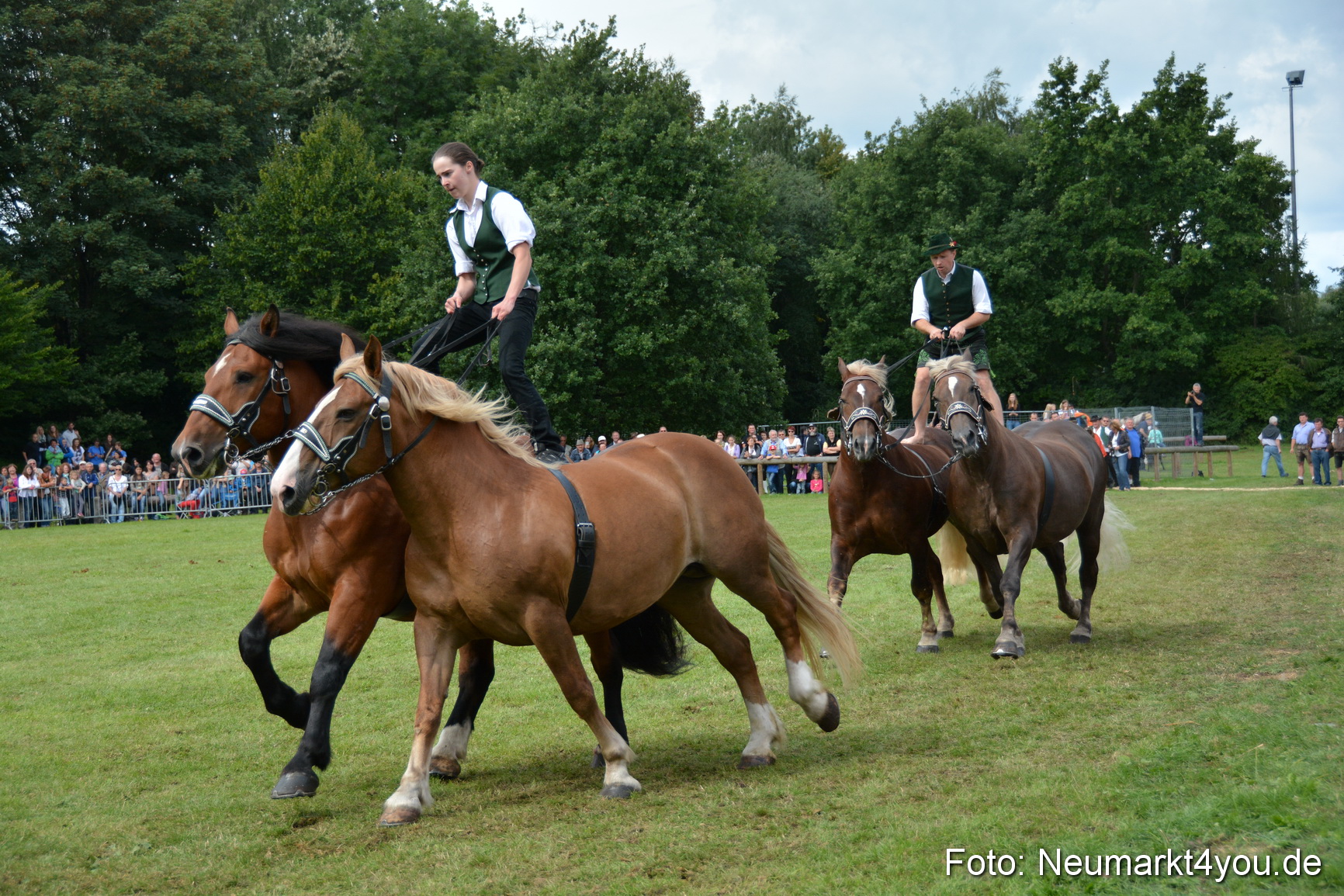Pferdeschau JURA Volksfest 180814 0490