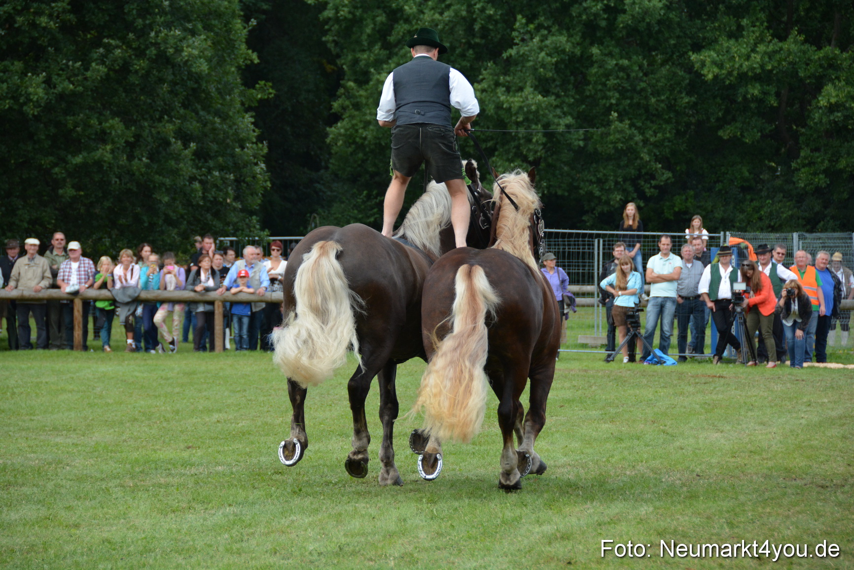 Pferdeschau JURA Volksfest 180814 0492
