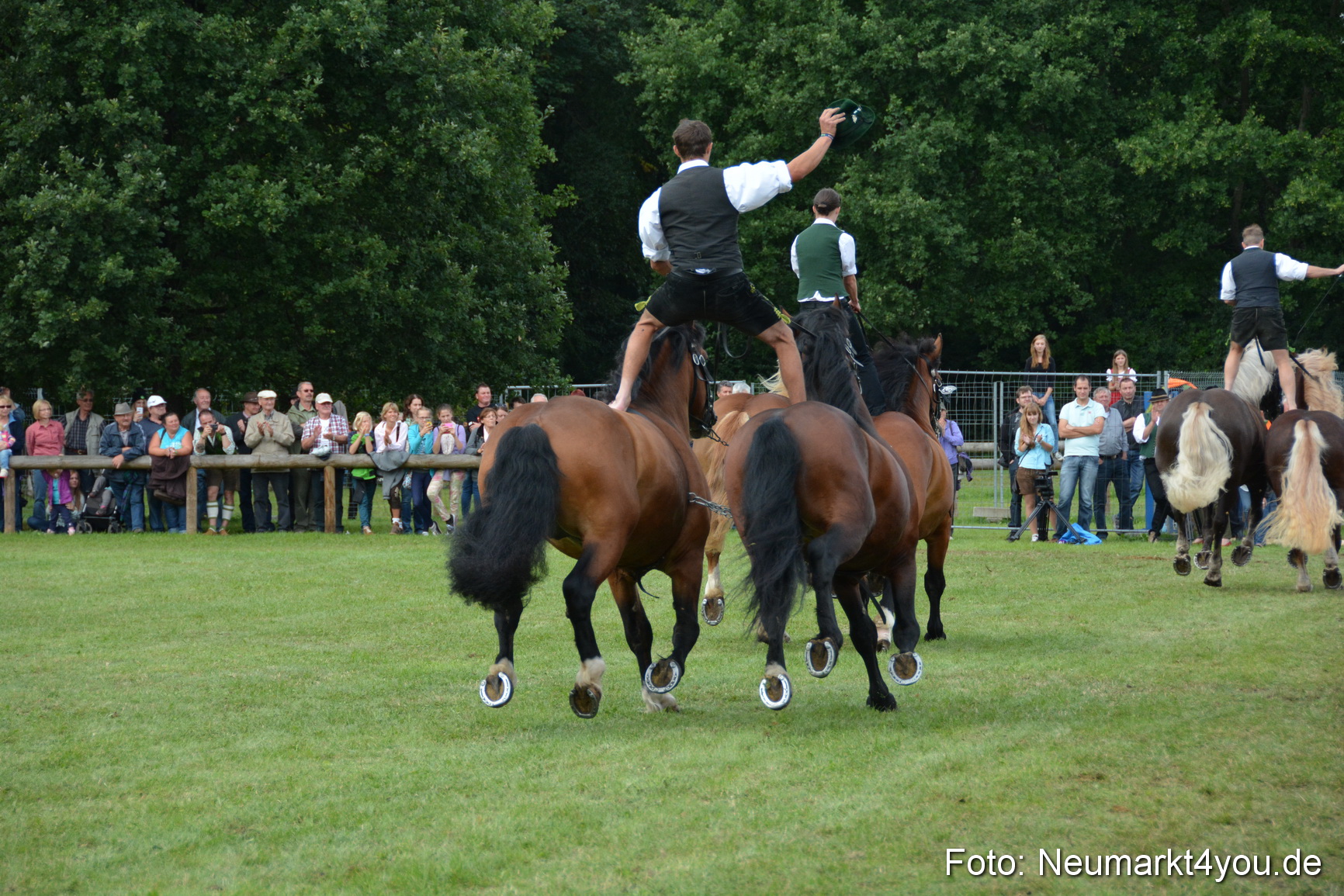 Pferdeschau JURA Volksfest 180814 0494