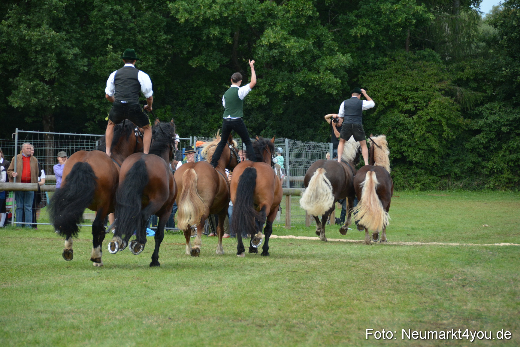 Pferdeschau JURA Volksfest 180814 0495