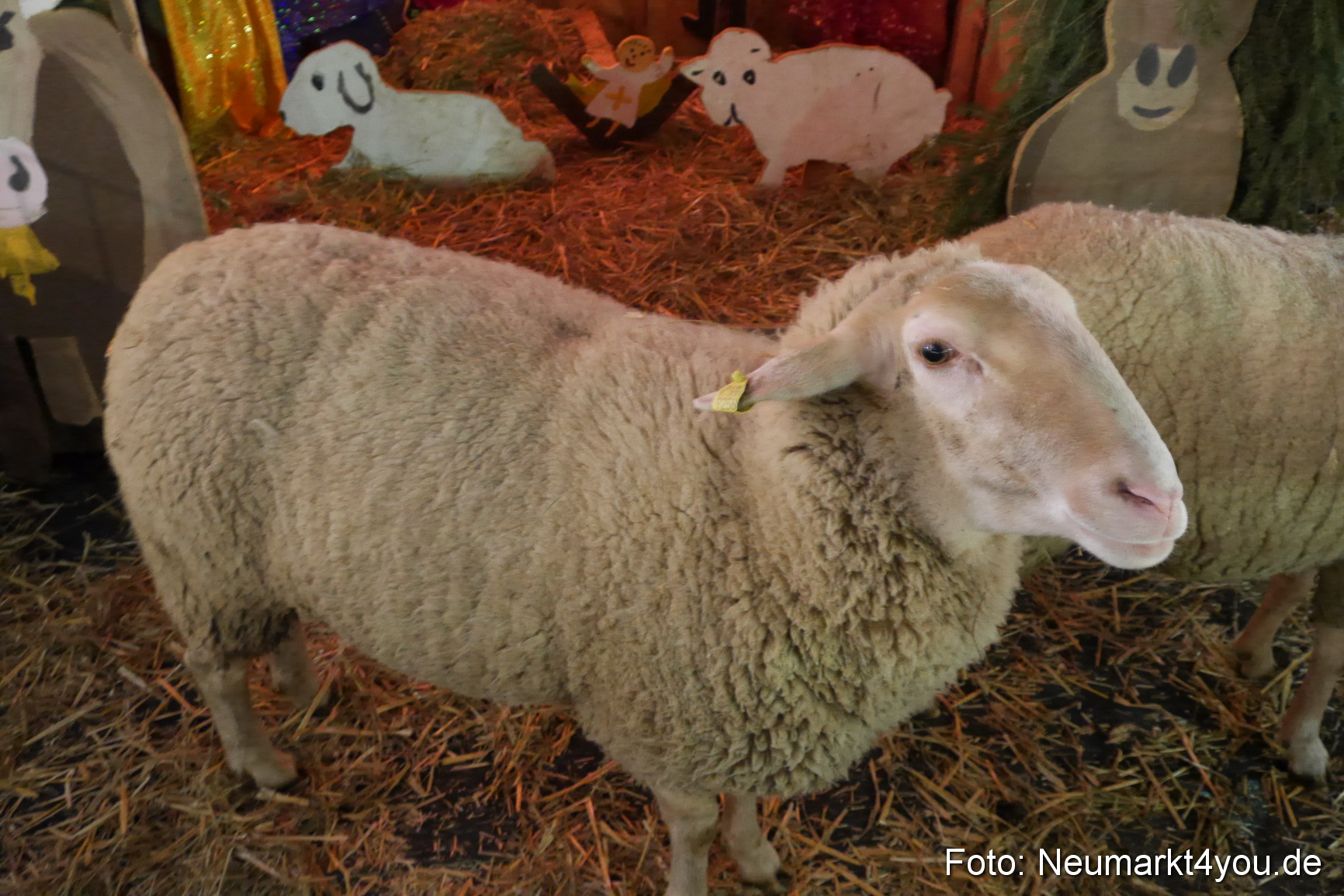 Weihnachtsmarkt Neumarkt 2014 0111