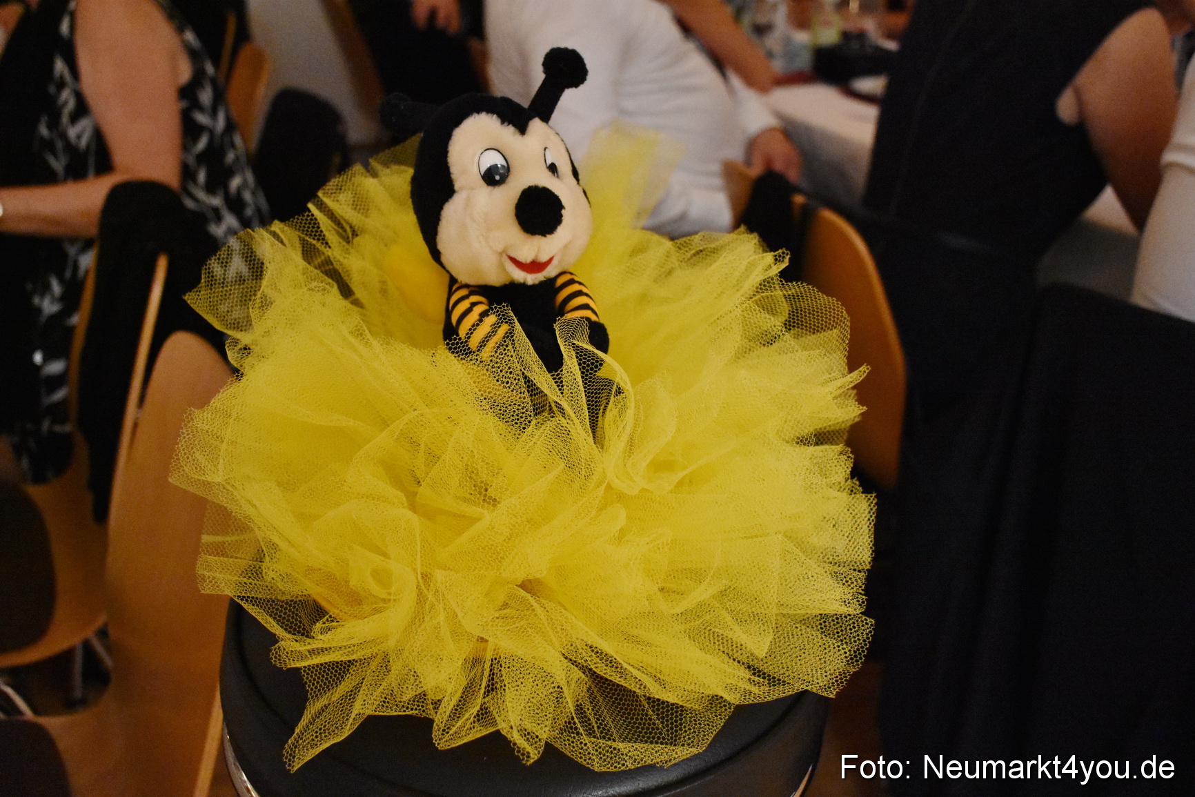 ASV Herbstball 071115 0209