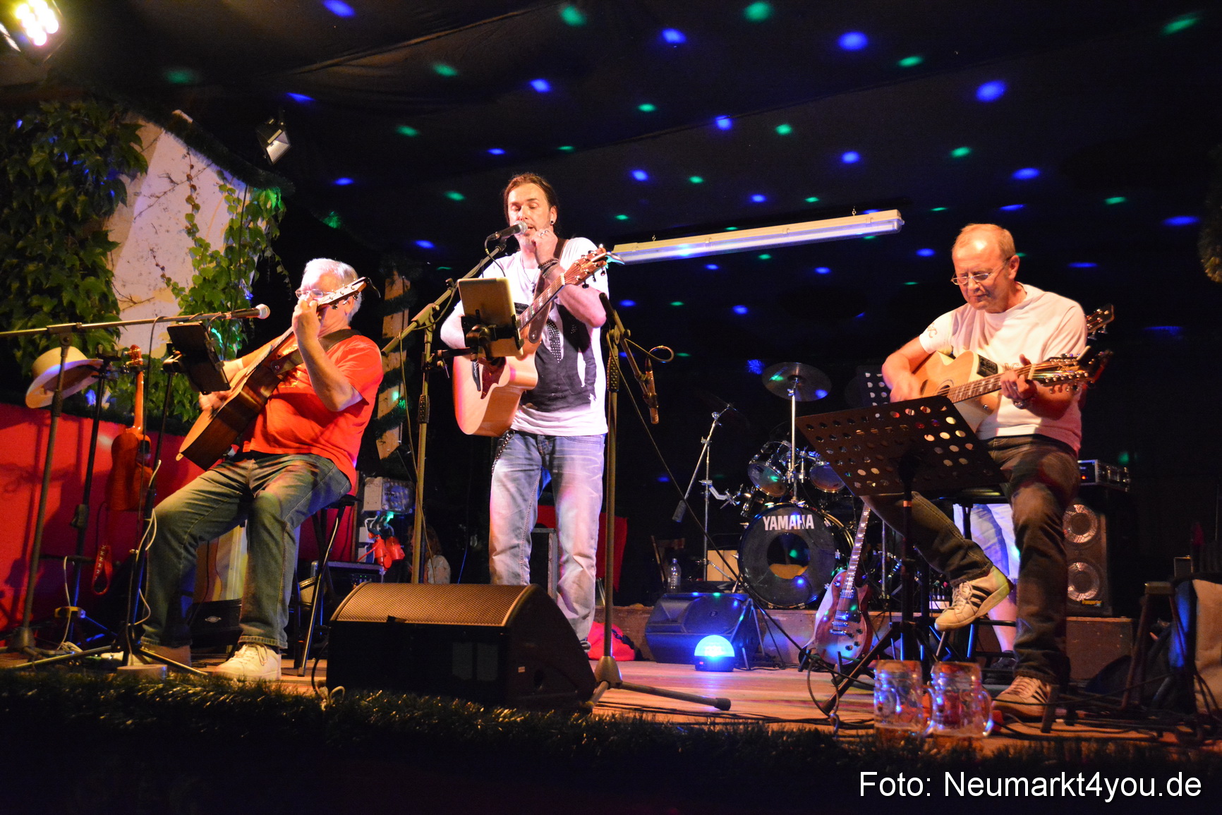 Altstadtfest Neumarkt 2015 0066