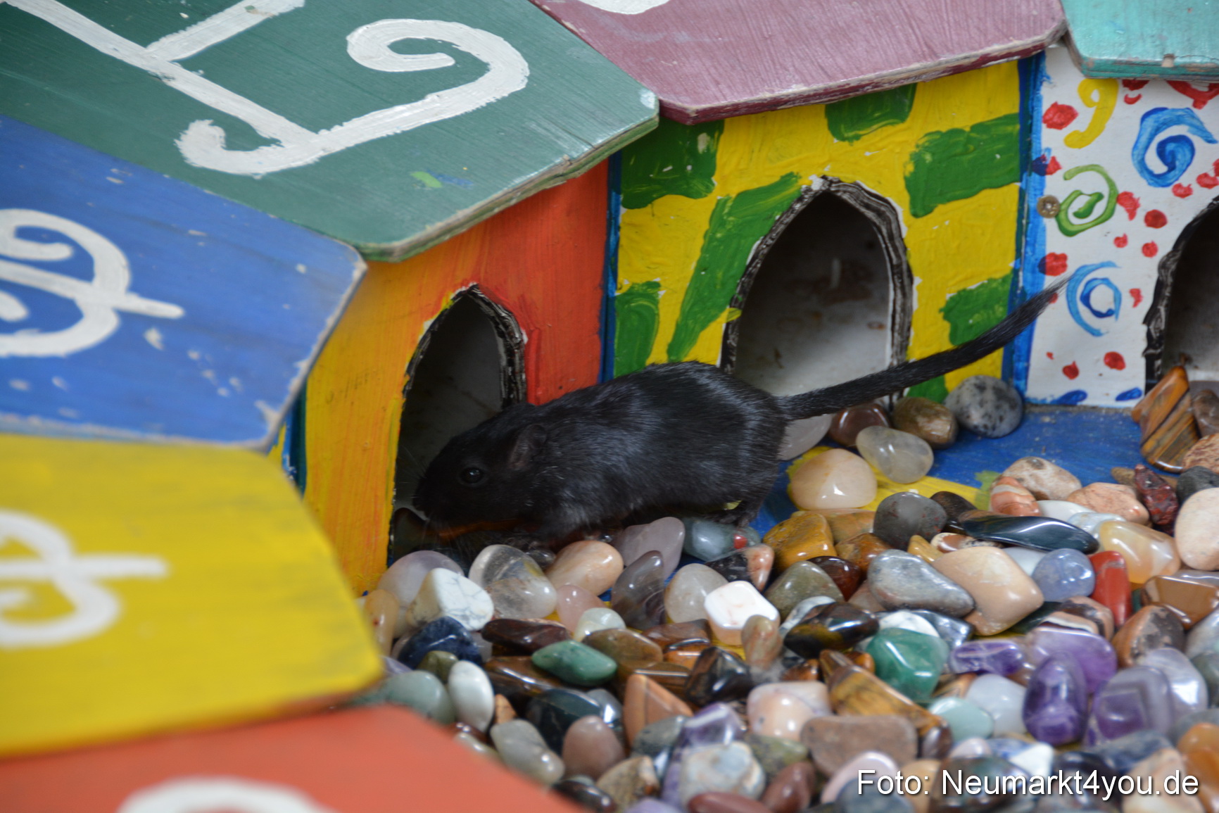 Mittelaltermarkt Altstadtfest Neumarkt 0044