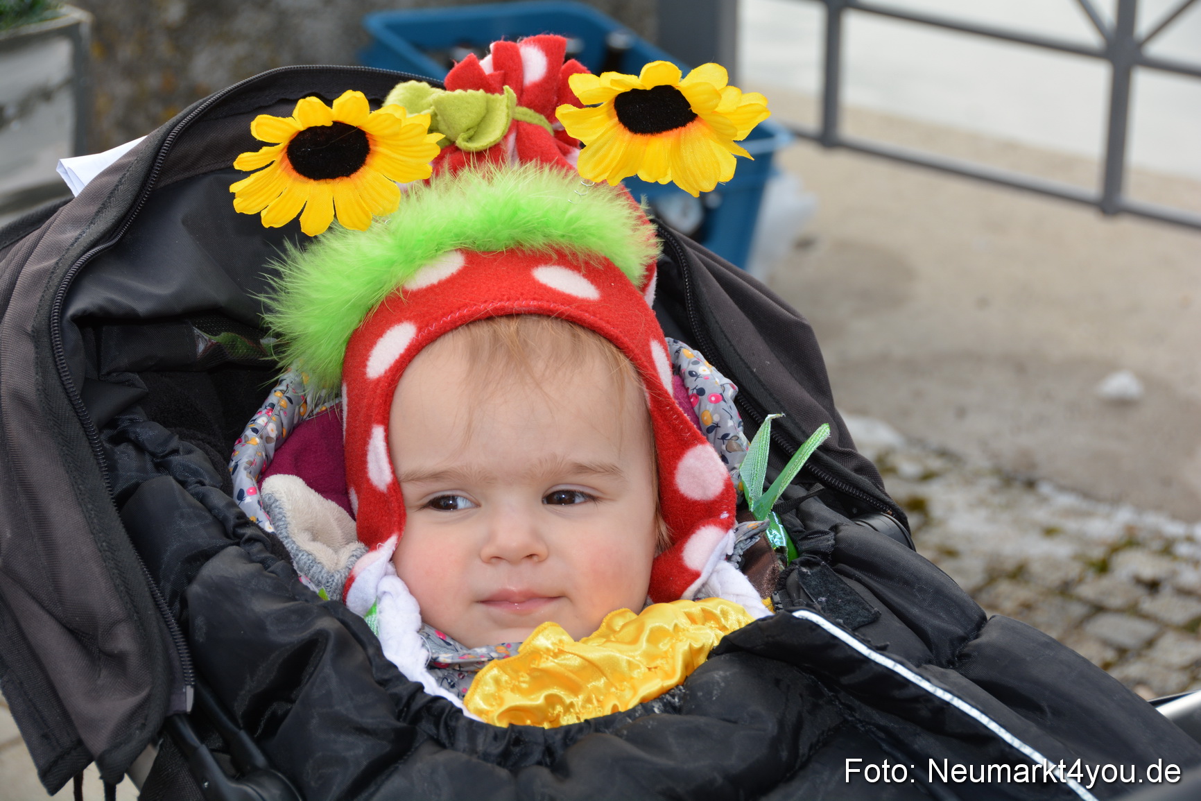 Faschingszug Berching 150215 0009