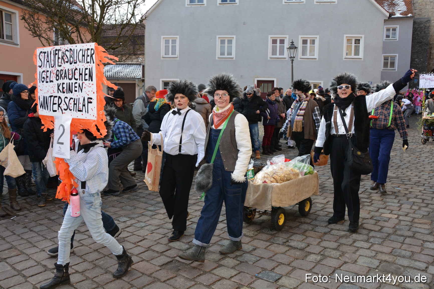 Faschingszug Berching 150215 0025