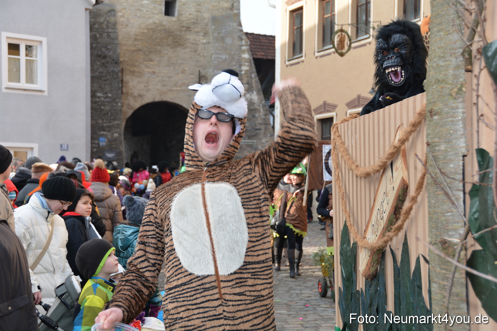 Faschingszug Berching 150215 0141