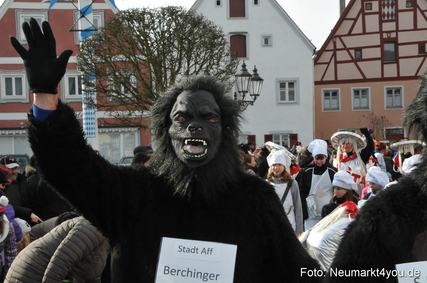 Faschingszug Berching 150215 0151