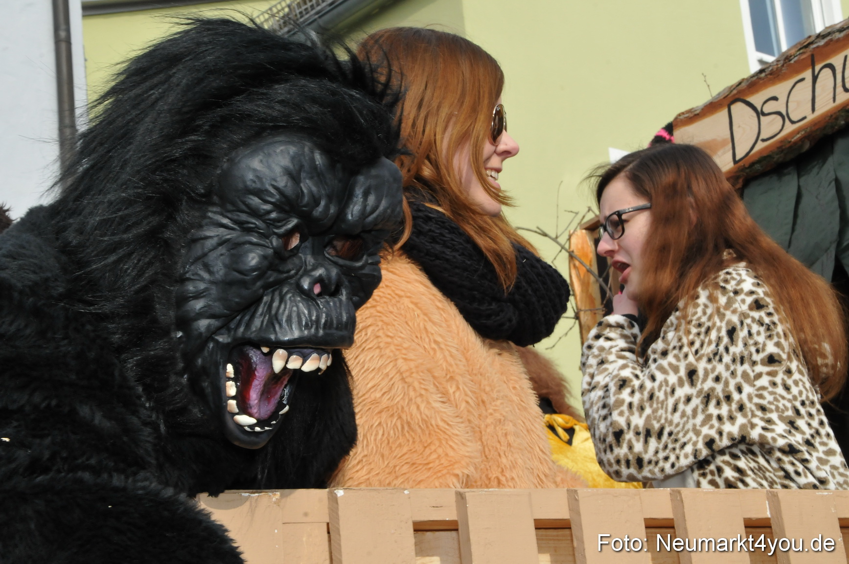 Faschingszug Berching 150215 0168