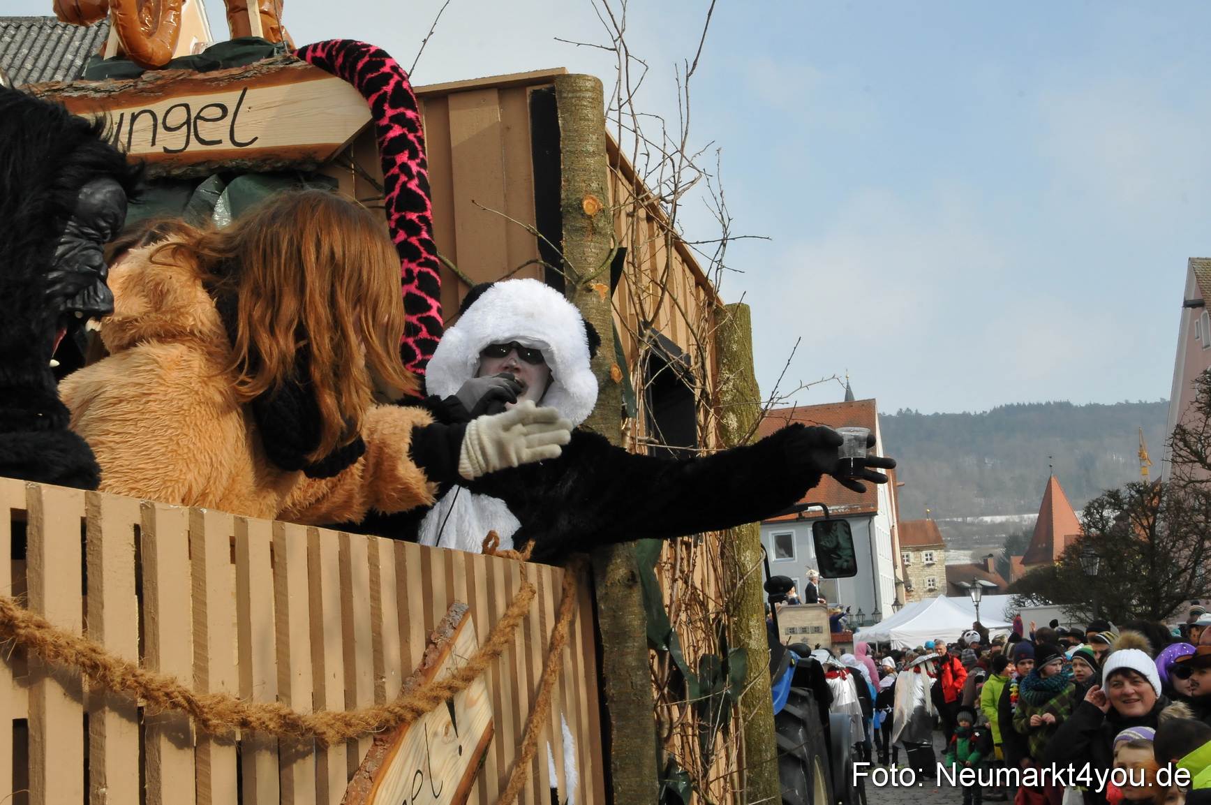 Faschingszug Berching 150215 0169