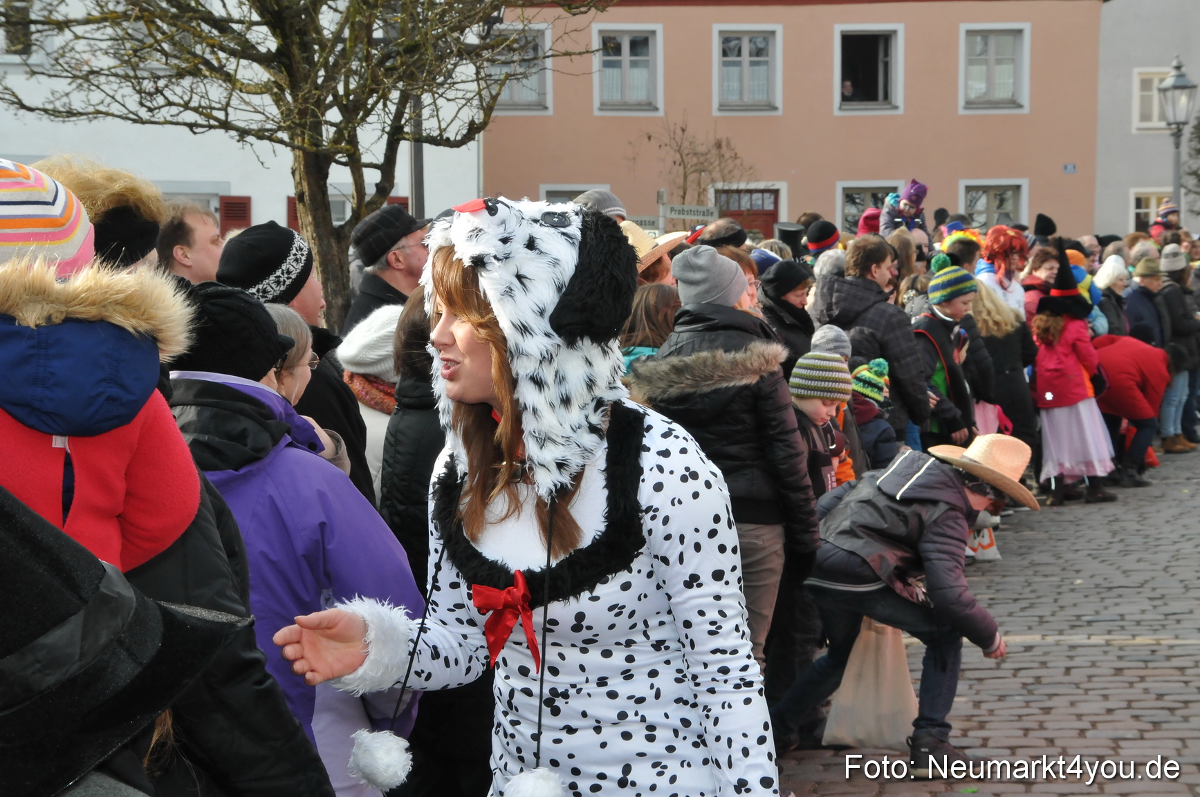 Faschingszug Berching 150215 0195