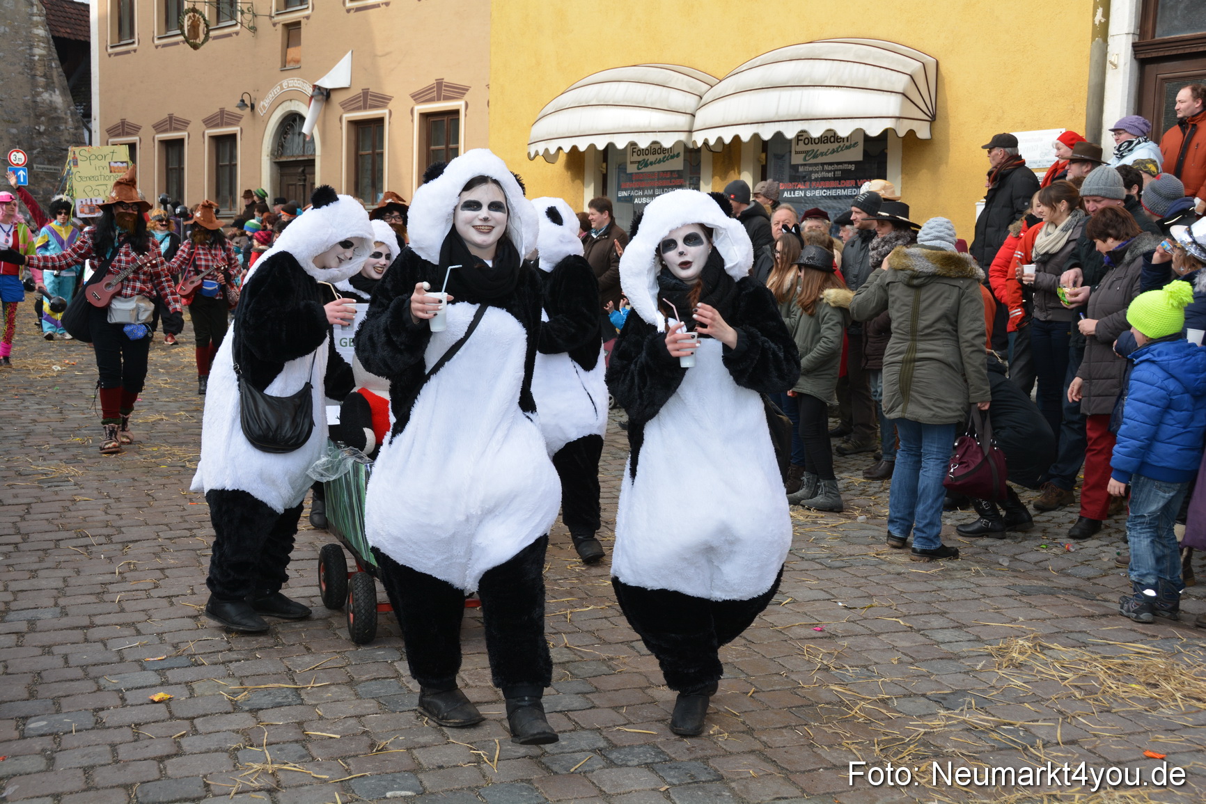 Faschingszug Berching 150215 0200