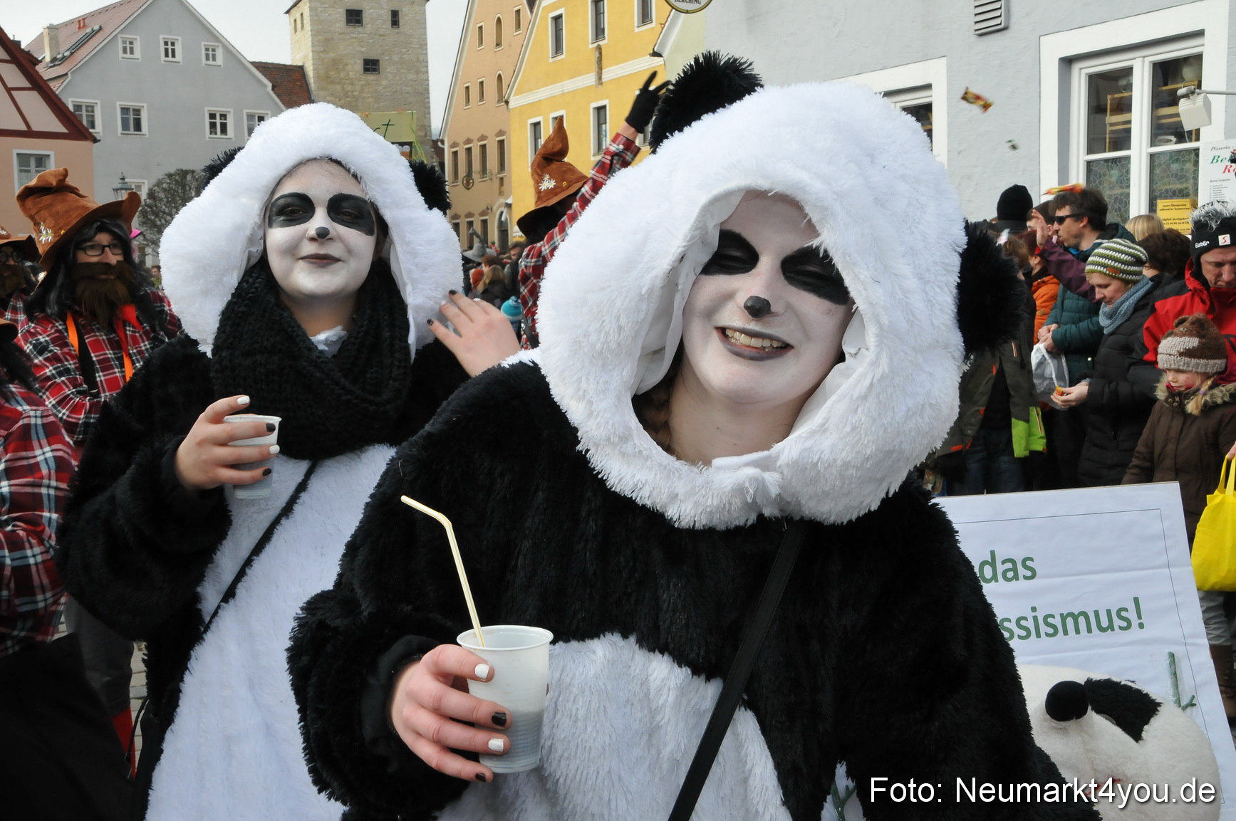 Faschingszug Berching 150215 0230