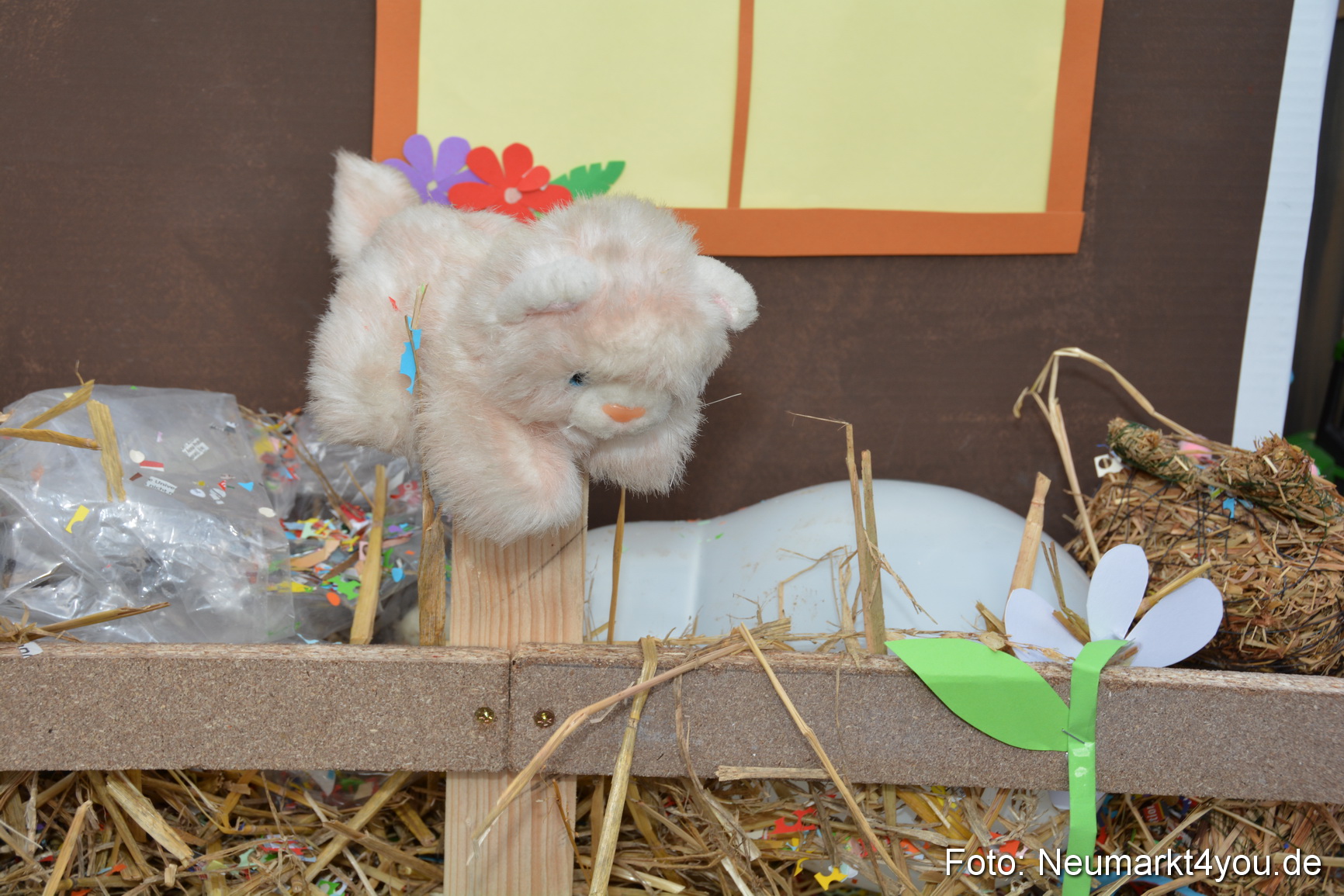 Faschingszug Berching 150215 0370