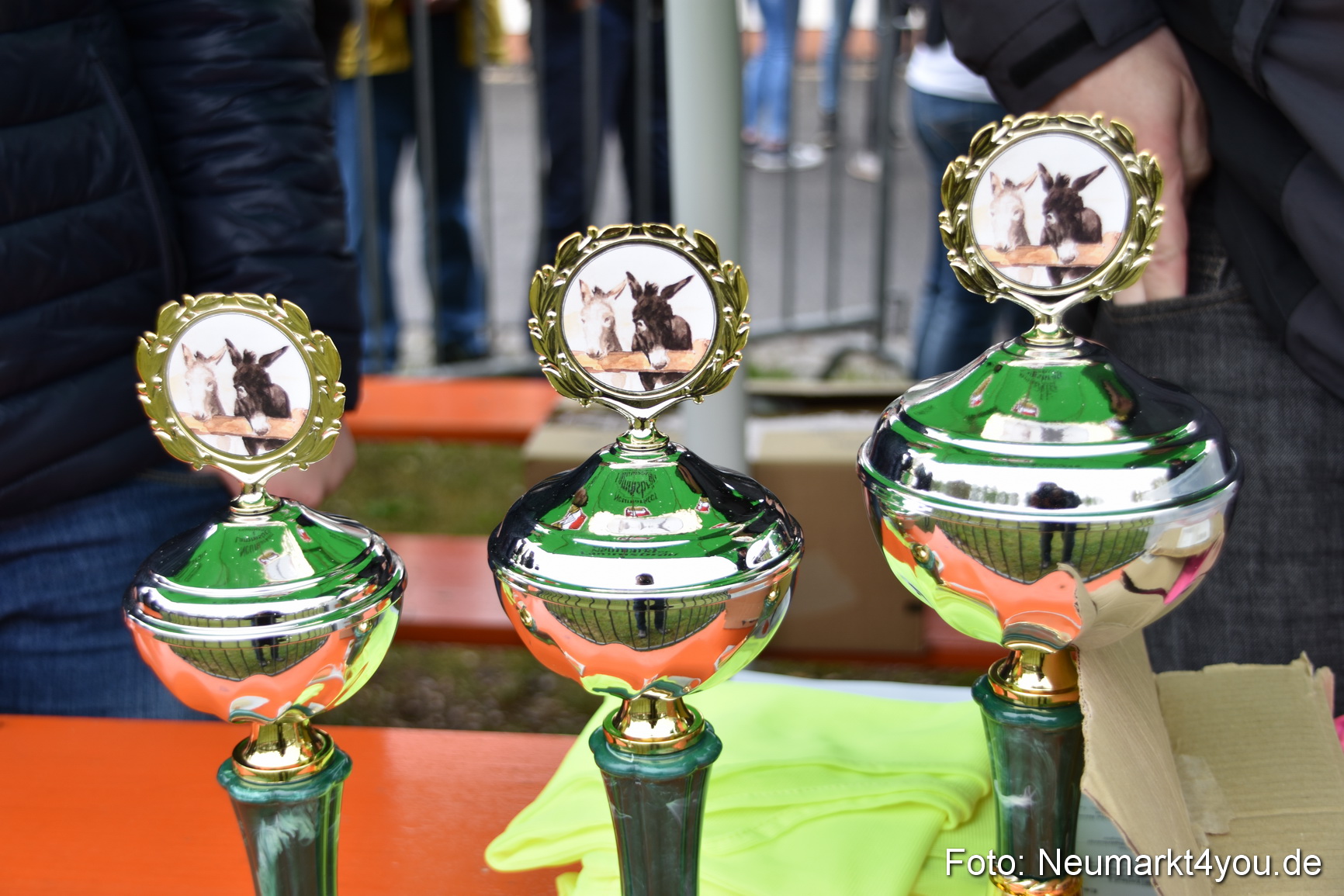 Fruehlingsfest Neumarkt Eselrennen 2015