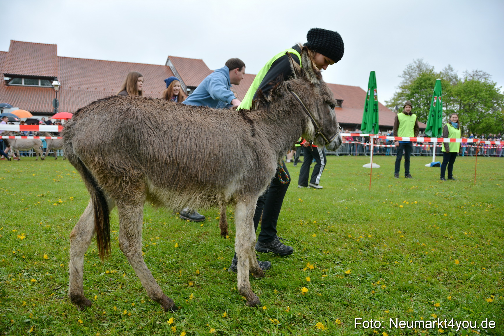 12 Neumarkter Eselrennen 030515 0020