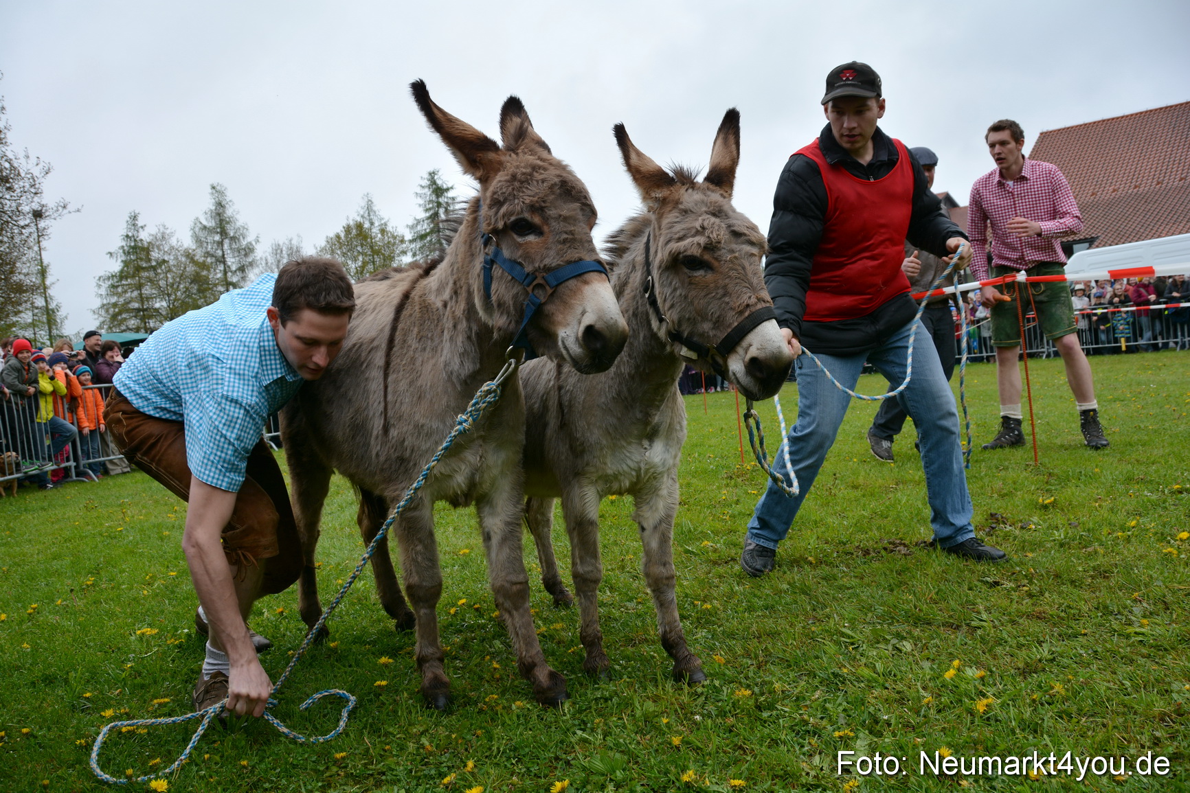 12 Neumarkter Eselrennen 030515 0040