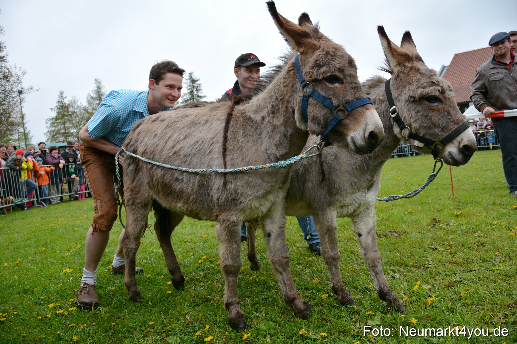 12 Neumarkter Eselrennen 030515 0041