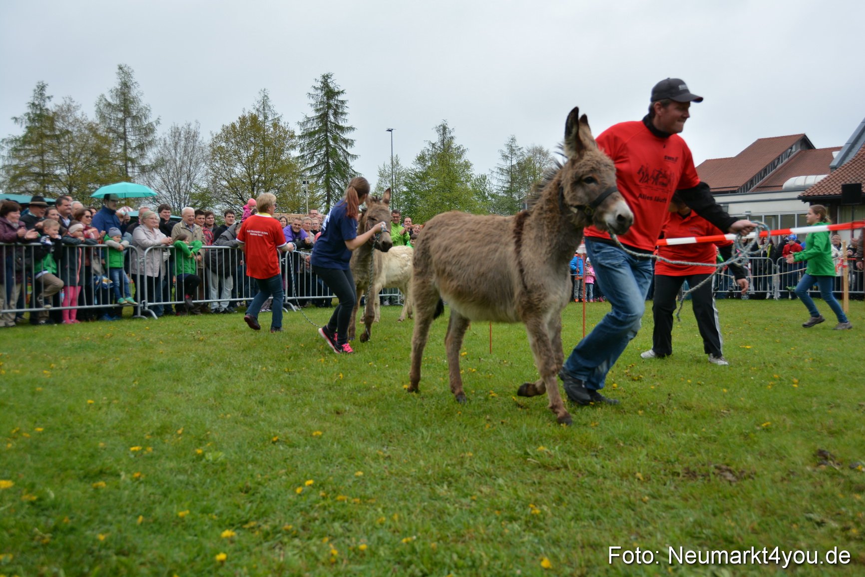 12 Neumarkter Eselrennen 030515 0071