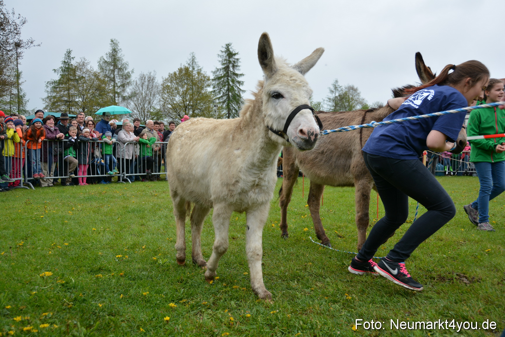 12 Neumarkter Eselrennen 030515 0073