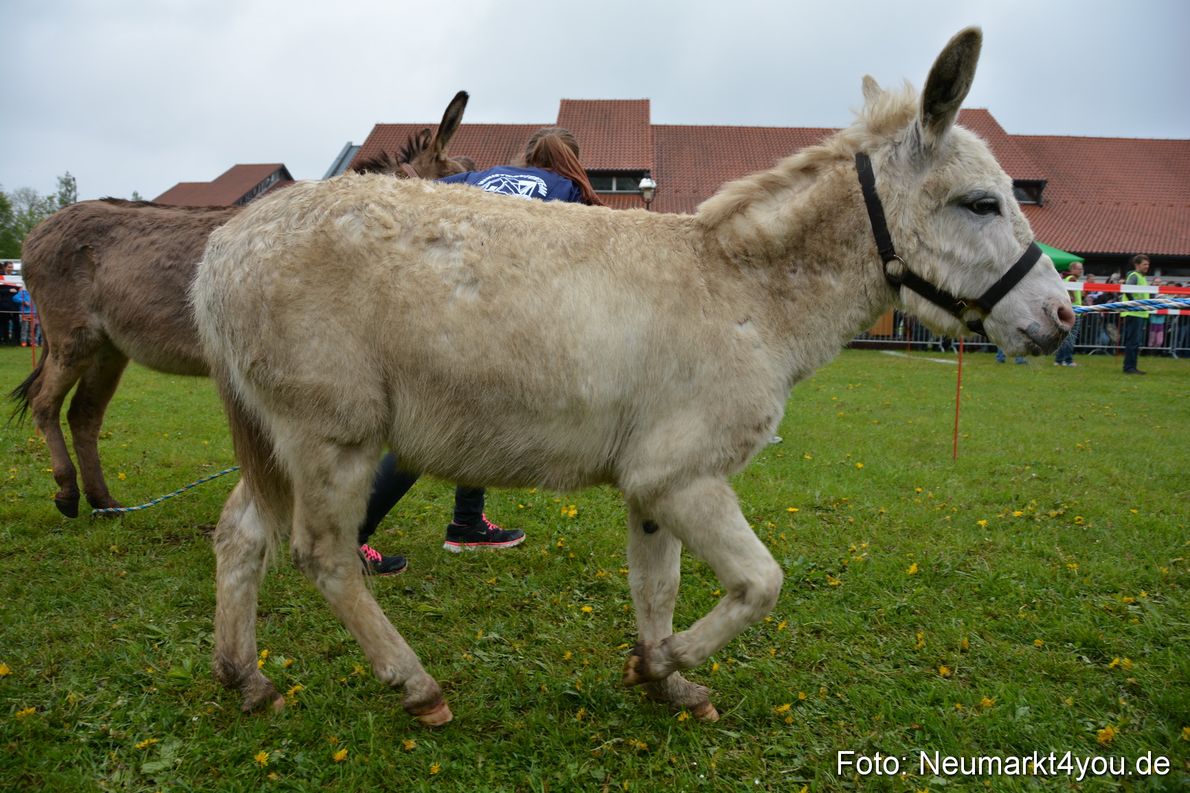 12 Neumarkter Eselrennen 030515 0074
