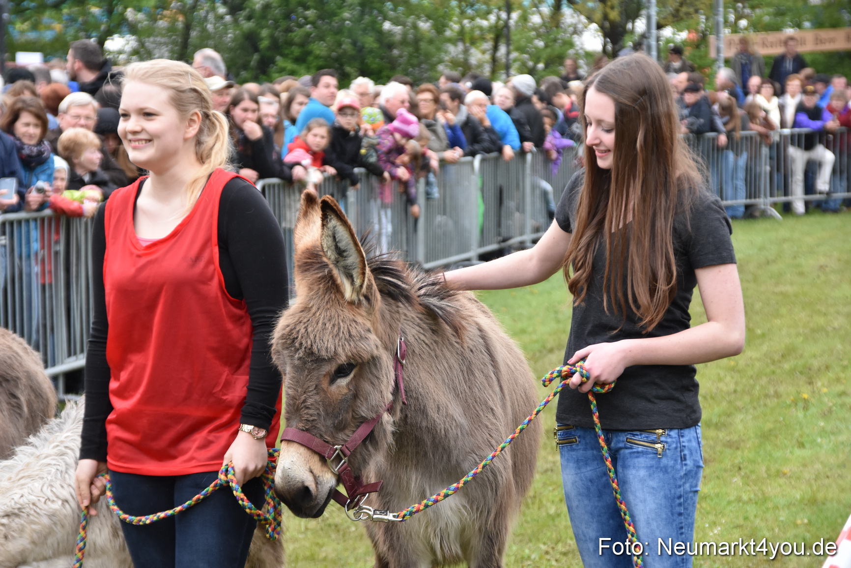 12 Neumarkter Eselrennen 030515 0088