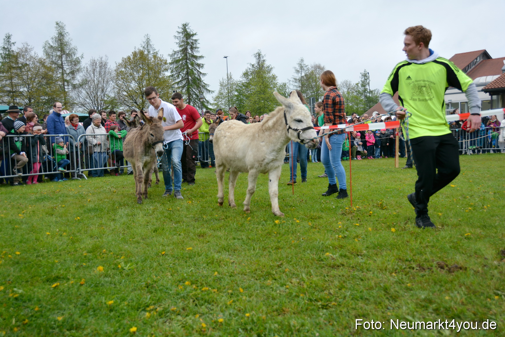 12 Neumarkter Eselrennen 030515 0117