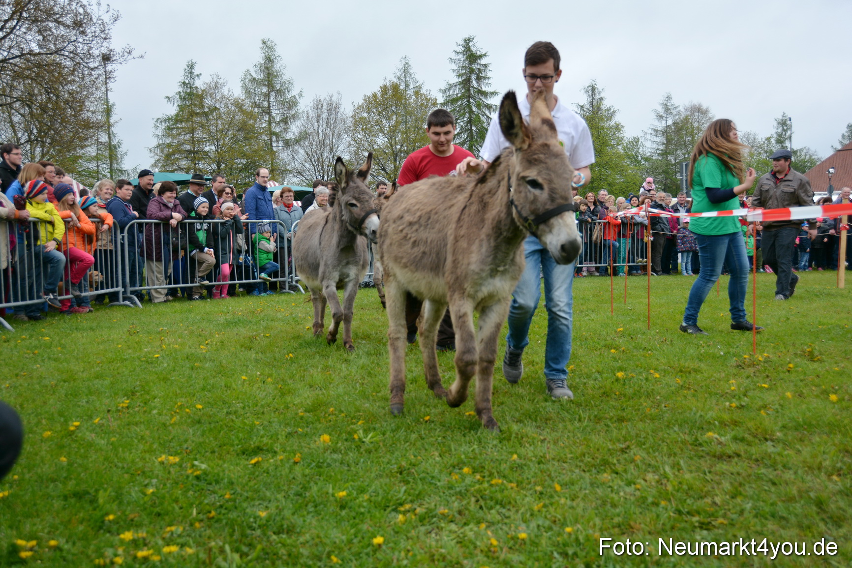12 Neumarkter Eselrennen 030515 0118