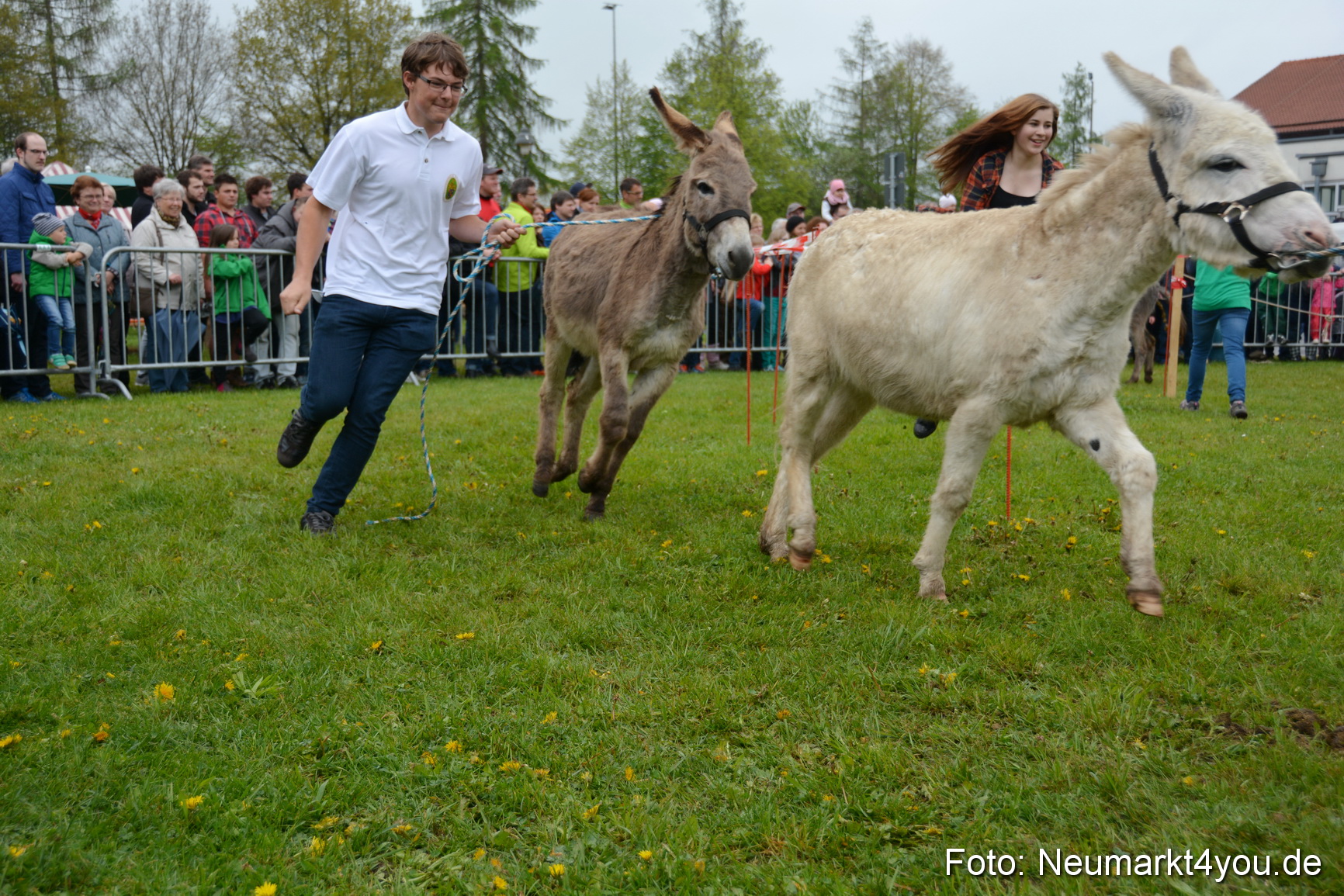 12 Neumarkter Eselrennen 030515 0125