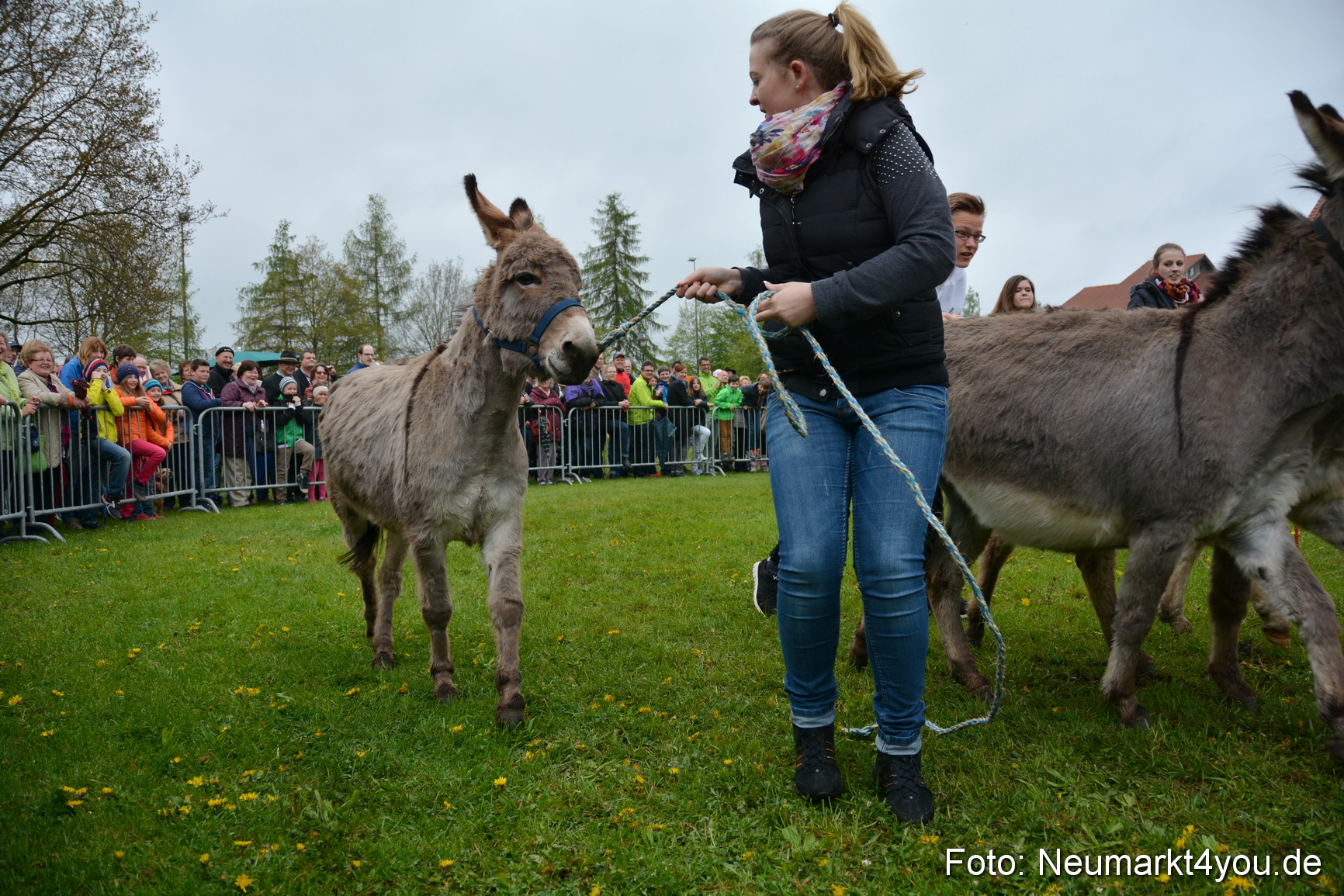 12 Neumarkter Eselrennen 030515 0133