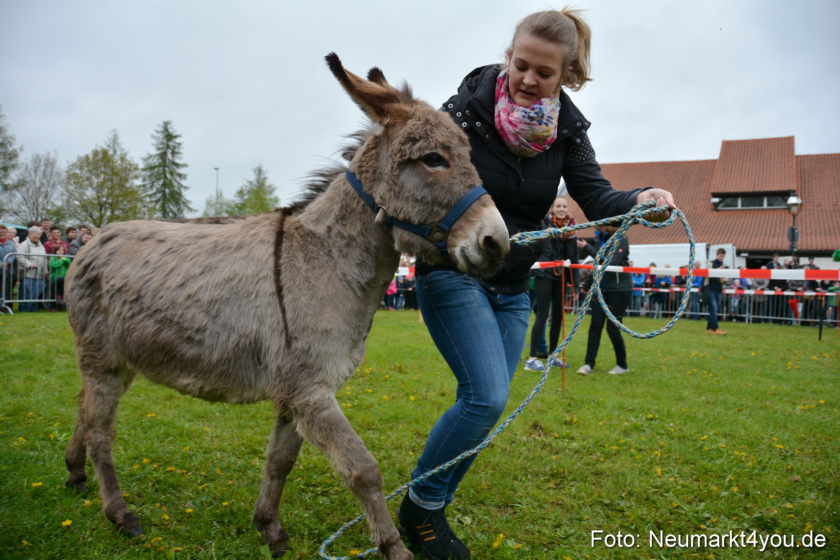 12 Neumarkter Eselrennen 030515 0134