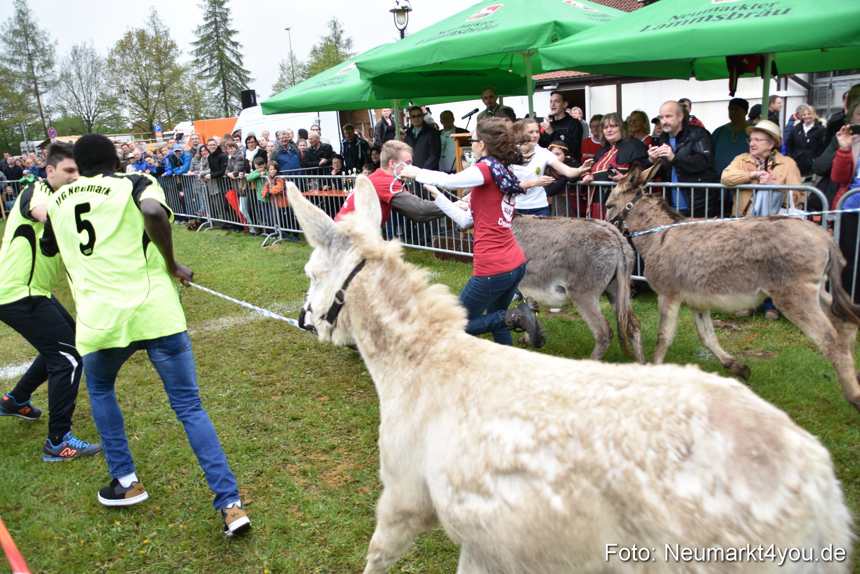 12 Neumarkter Eselrennen 030515 0138