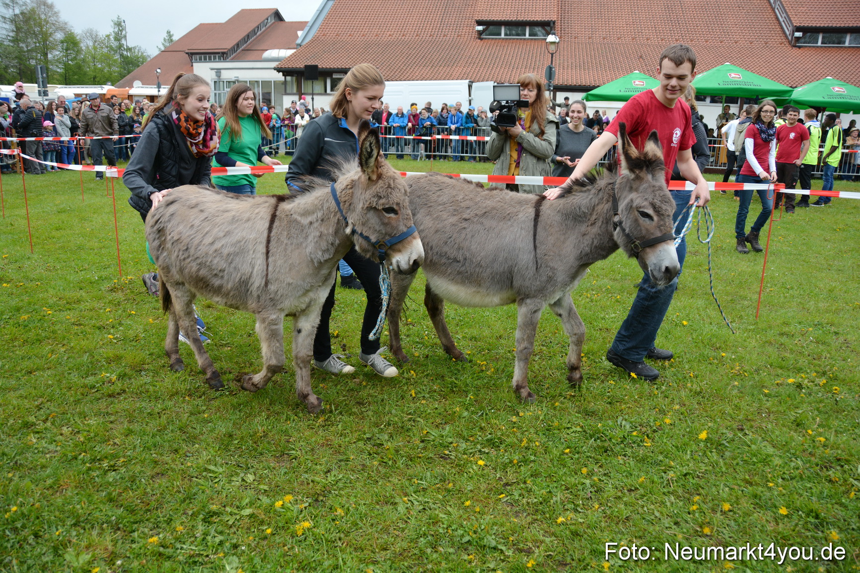 12 Neumarkter Eselrennen 030515 0151