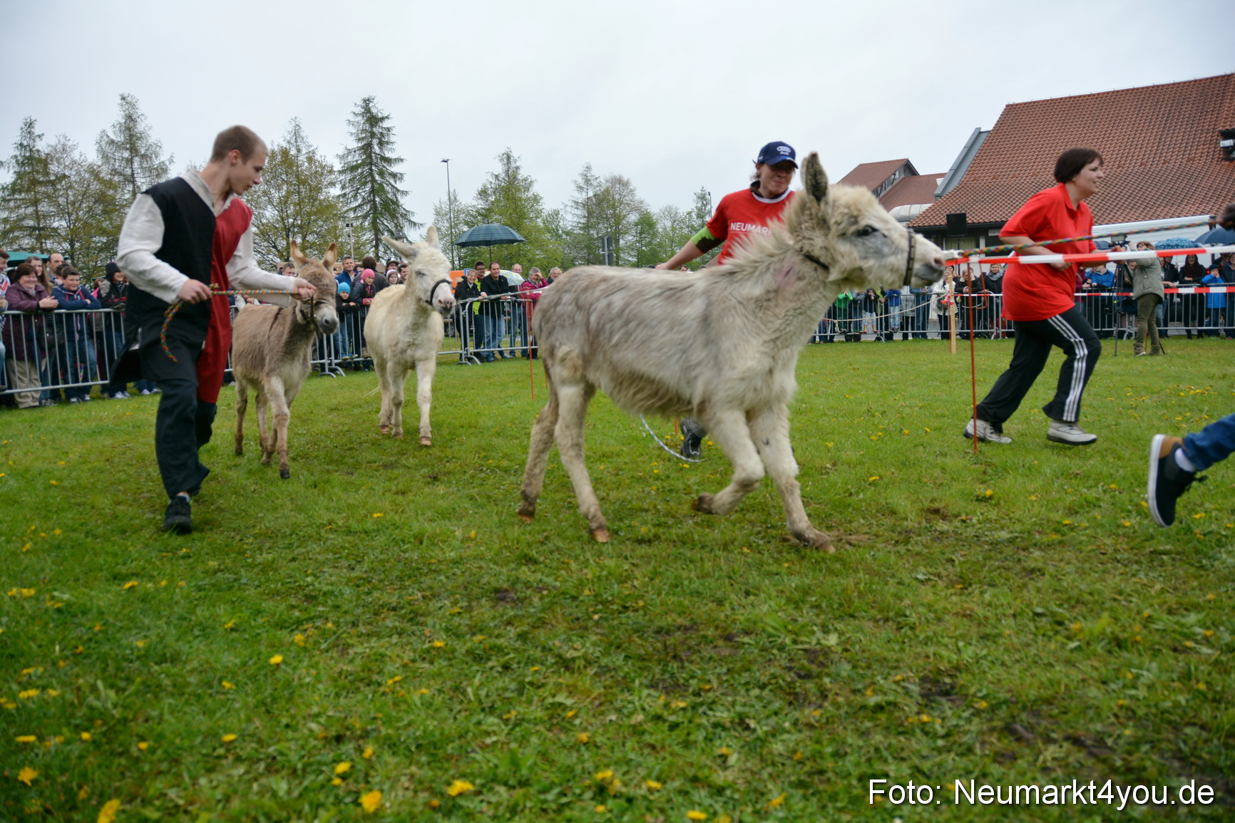 12 Neumarkter Eselrennen 030515 0203