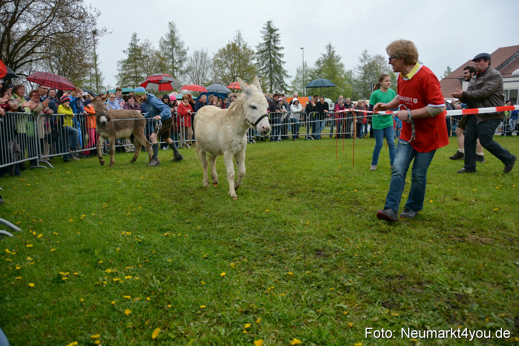 12 Neumarkter Eselrennen 030515 0209