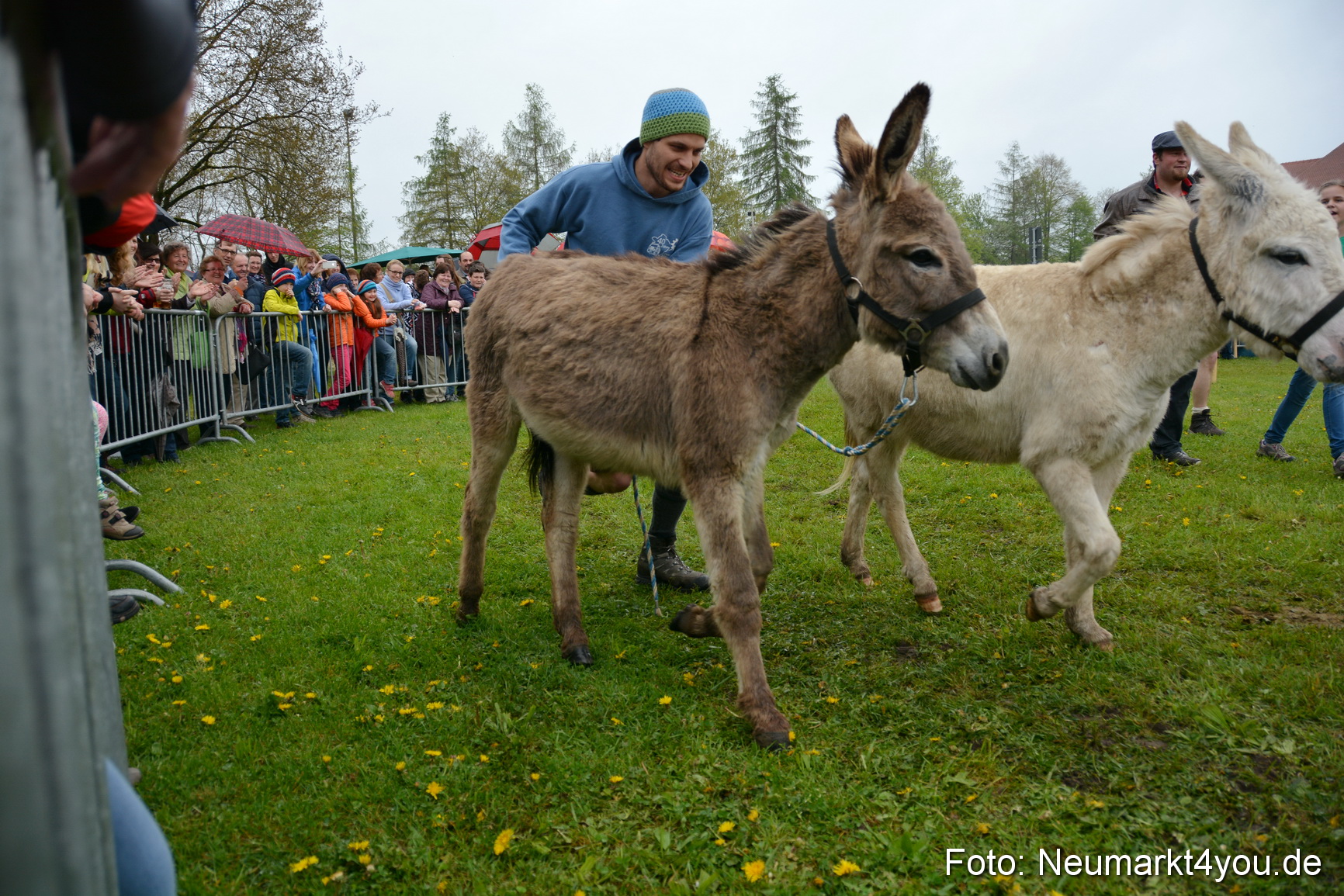 12 Neumarkter Eselrennen 030515 0210