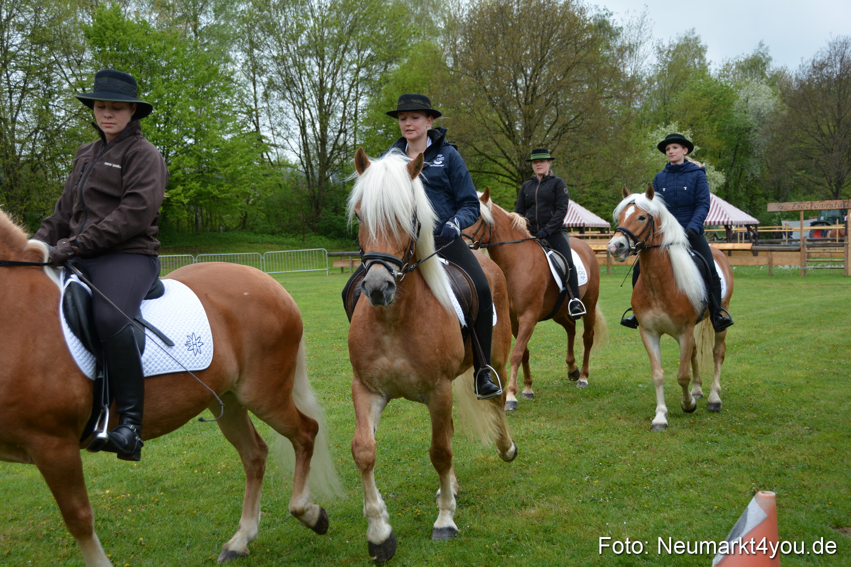 Haflingertreffen Fruehlingsfest 010515 0003