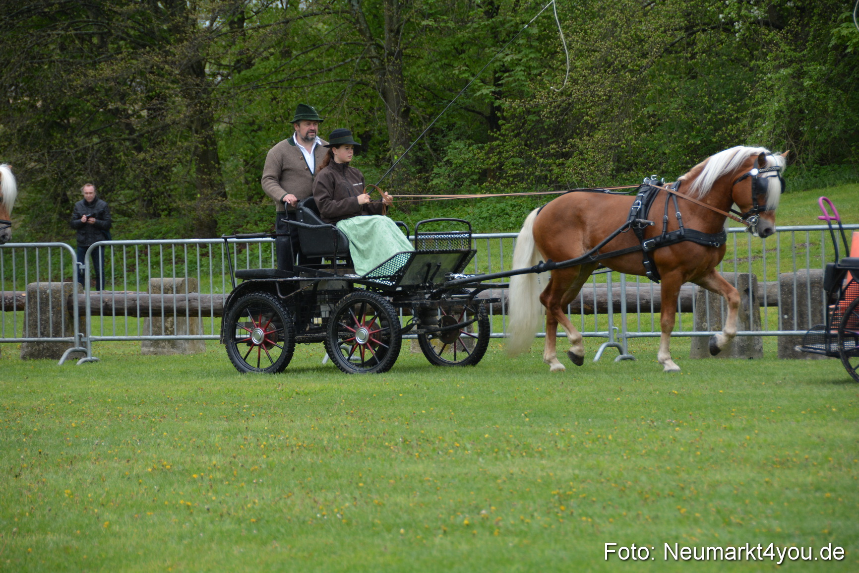 Haflingertreffen Fruehlingsfest 010515 0005