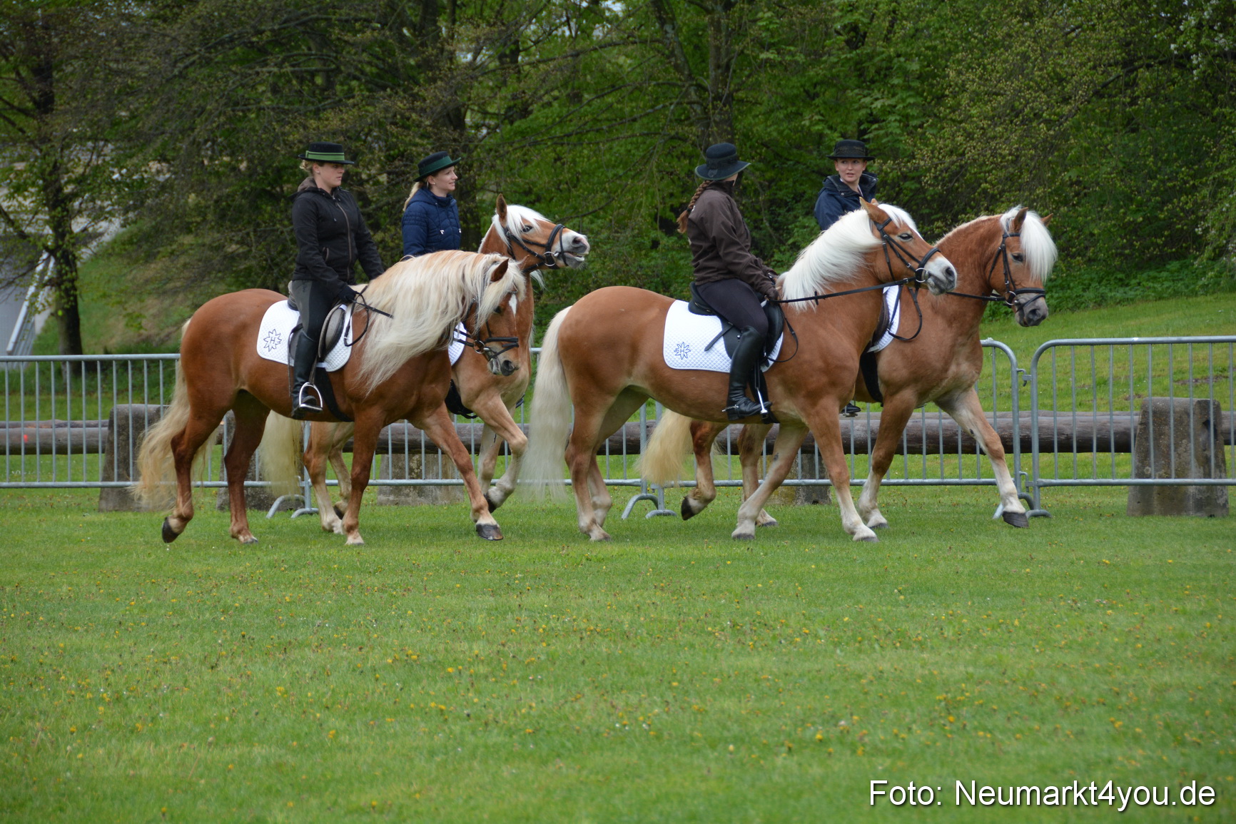 Haflingertreffen Fruehlingsfest 010515 0006