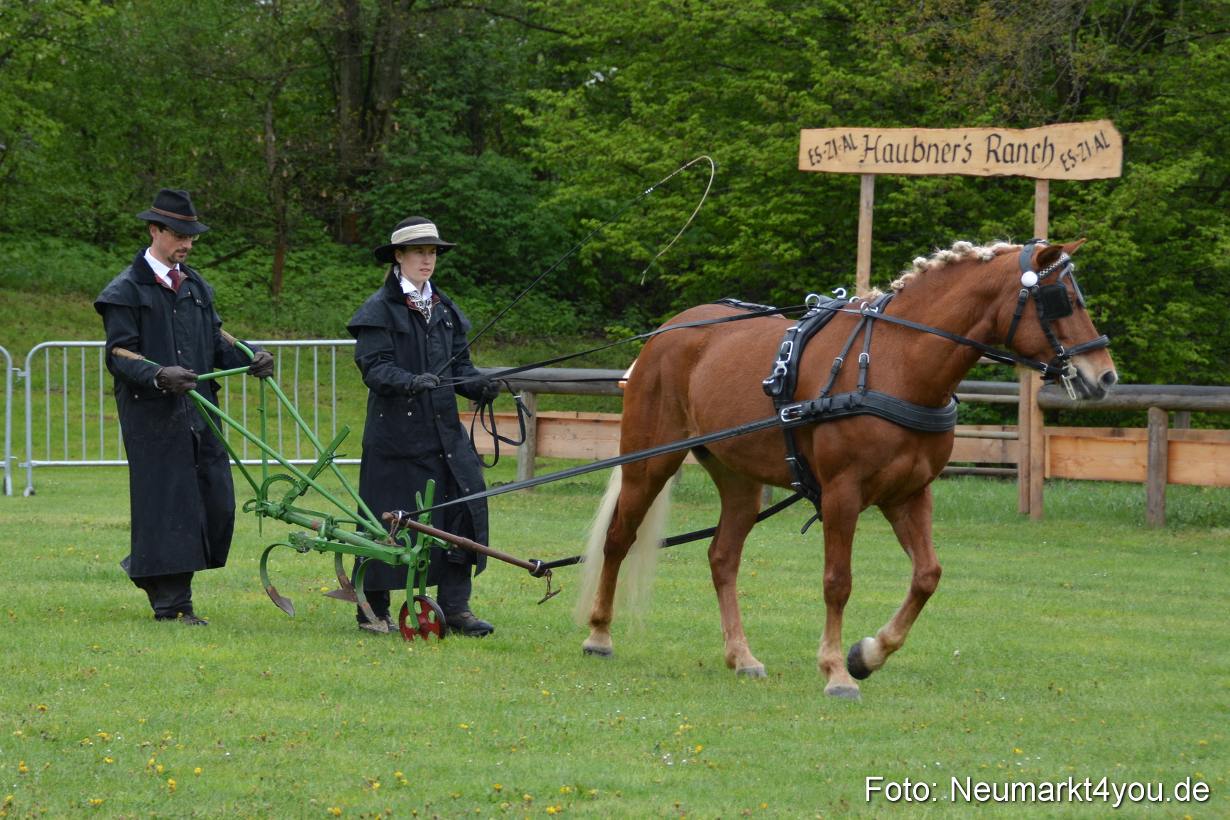Haflingertreffen Fruehlingsfest 010515 0029