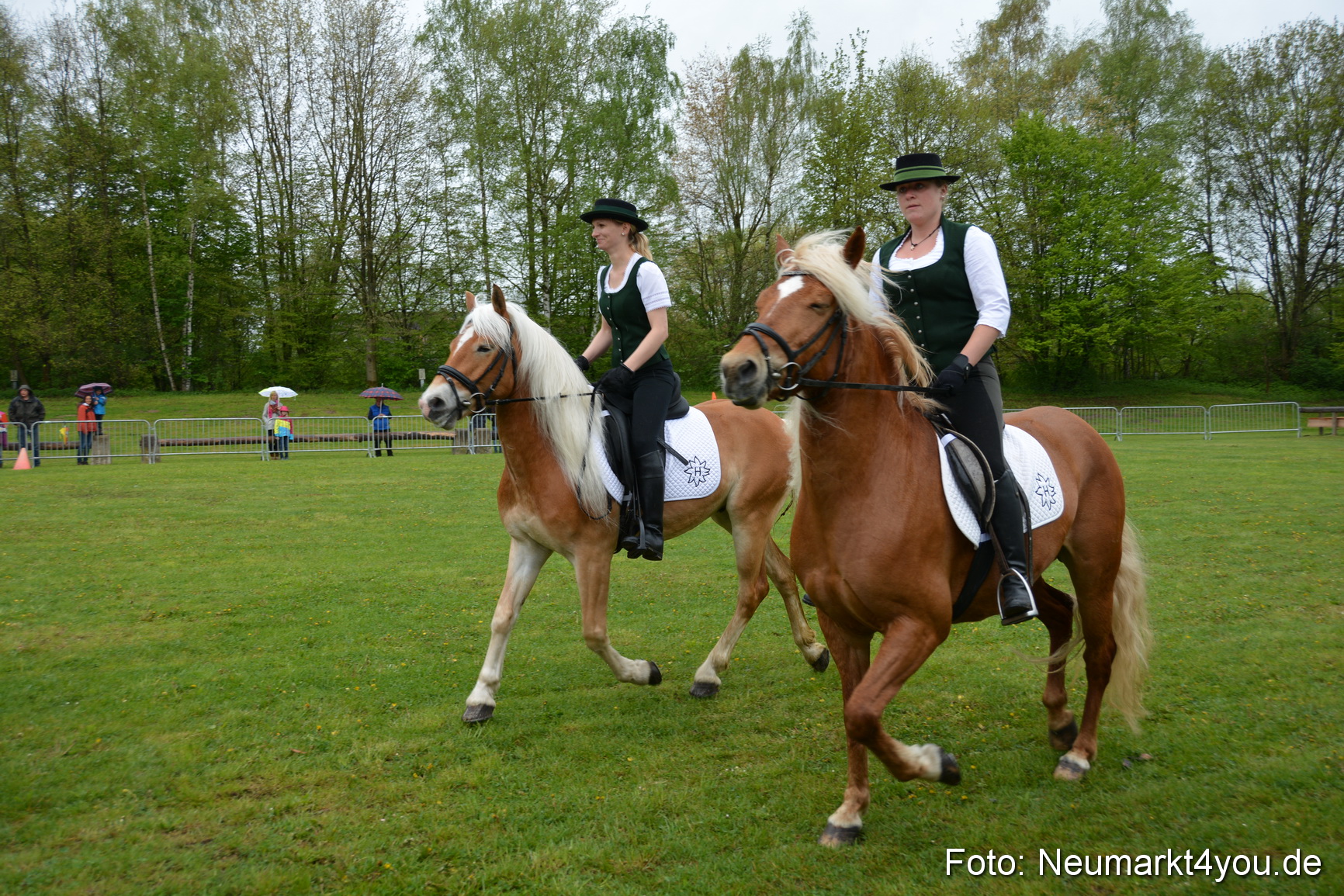 Haflingertreffen Fruehlingsfest 010515 0039