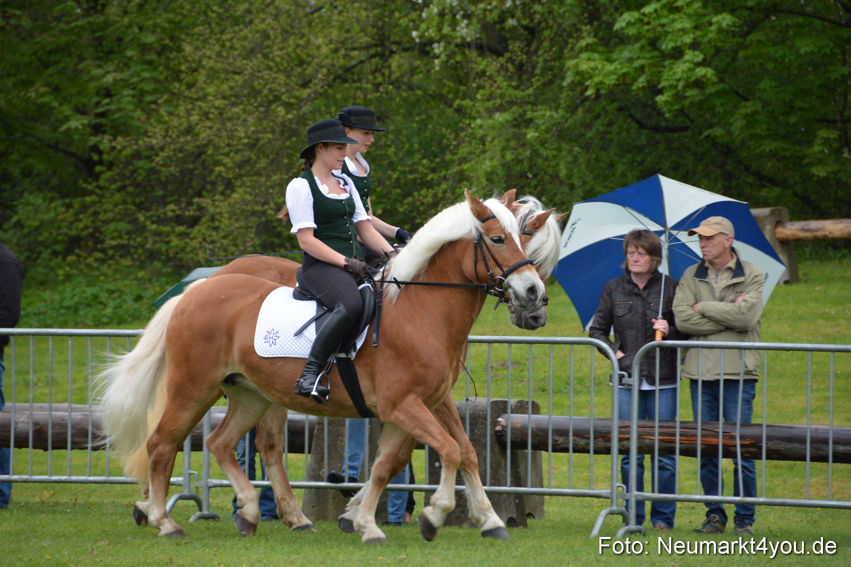 Haflingertreffen Fruehlingsfest 010515 0040