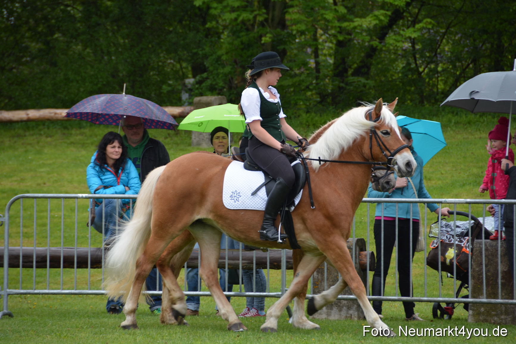 Haflingertreffen Fruehlingsfest 010515 0041