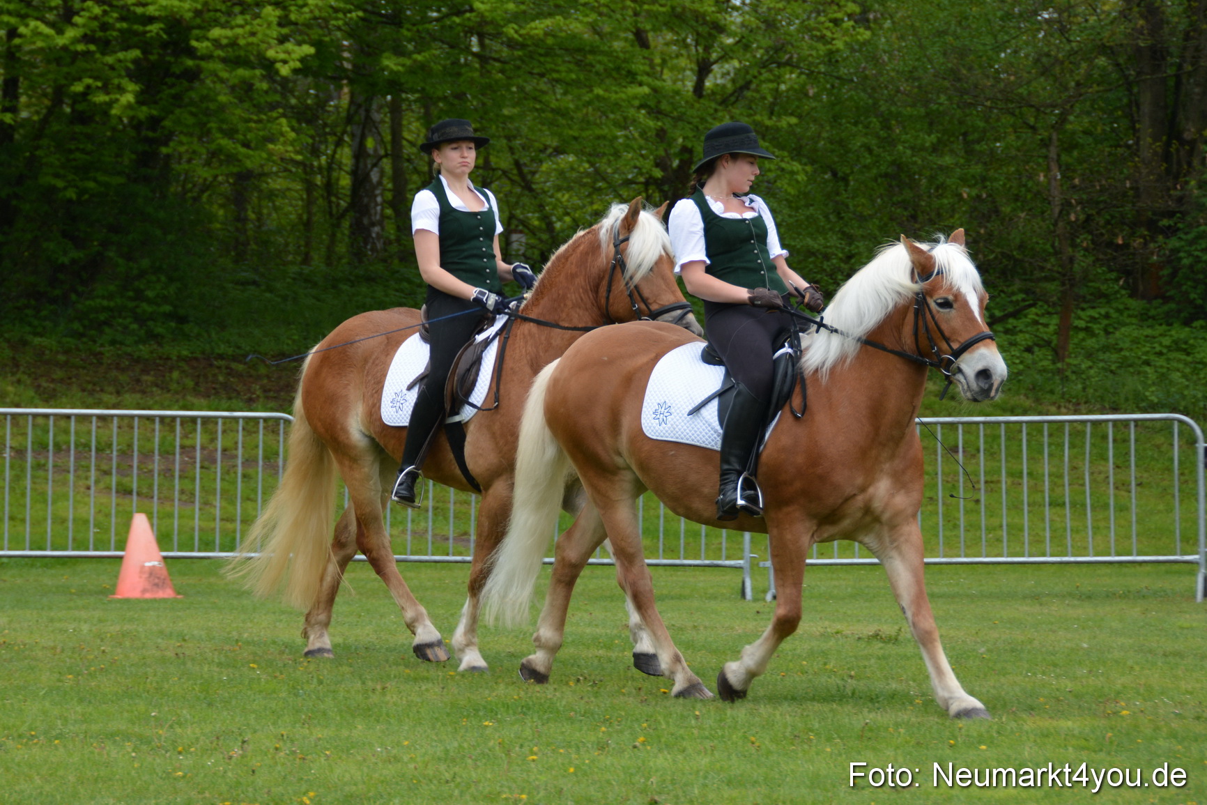 Haflingertreffen Fruehlingsfest 010515 0043