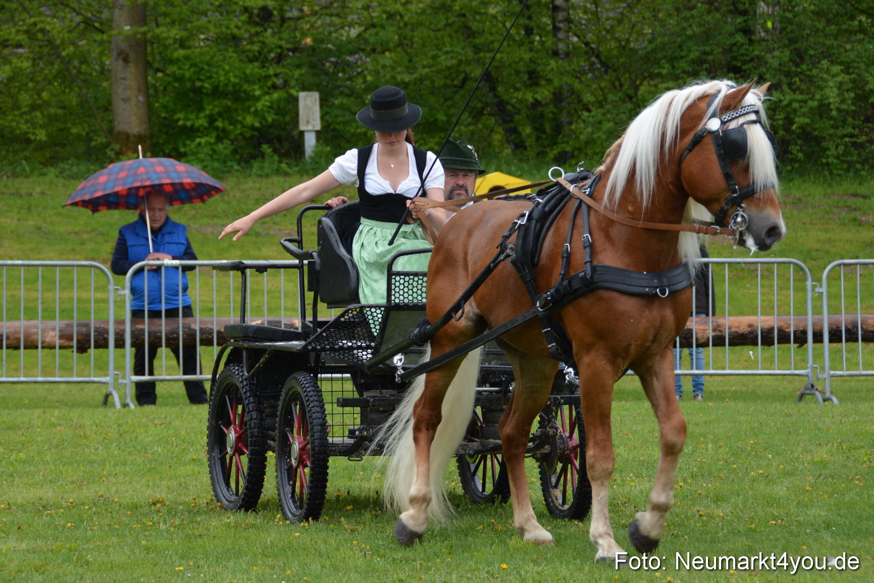 Haflingertreffen Fruehlingsfest 010515 0044